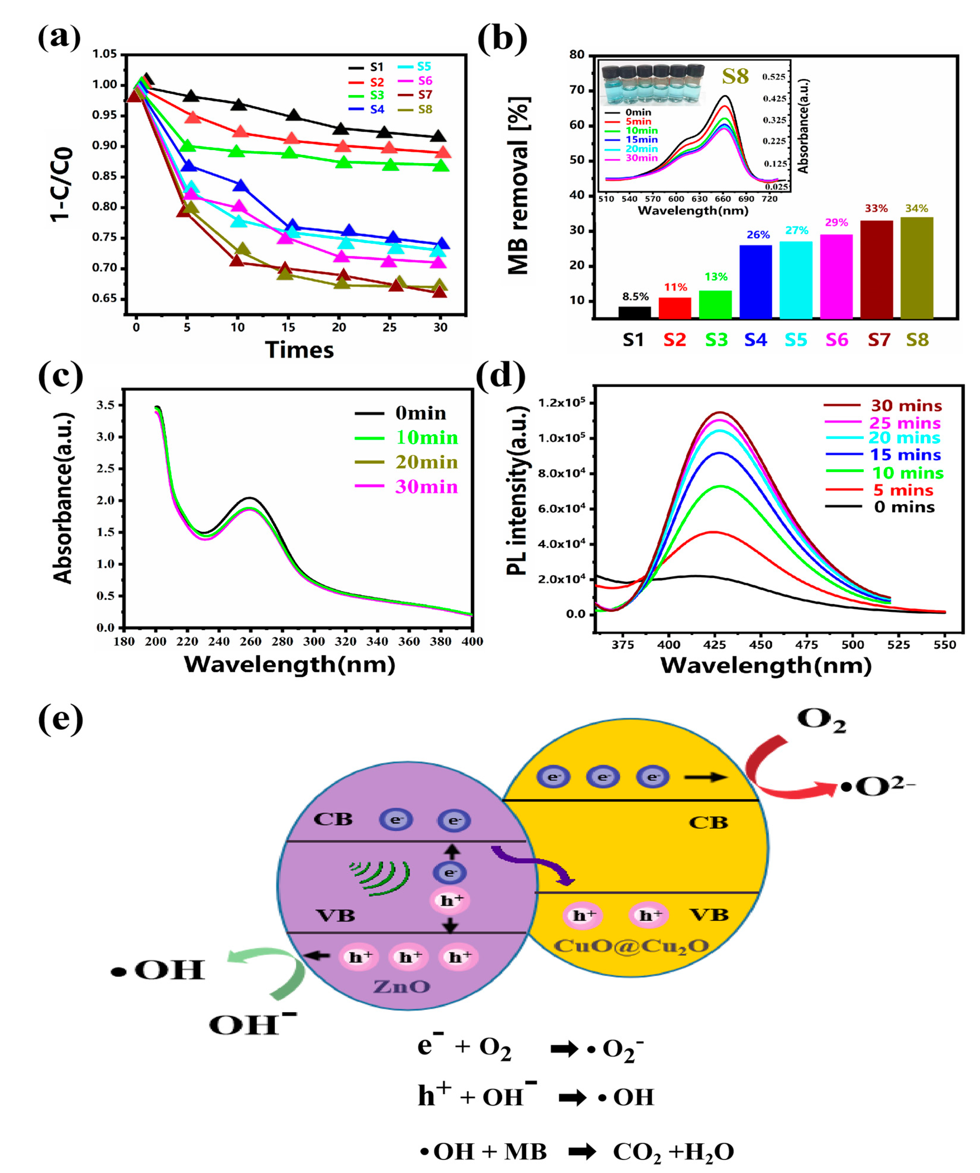 Coatings 13 01963 g005