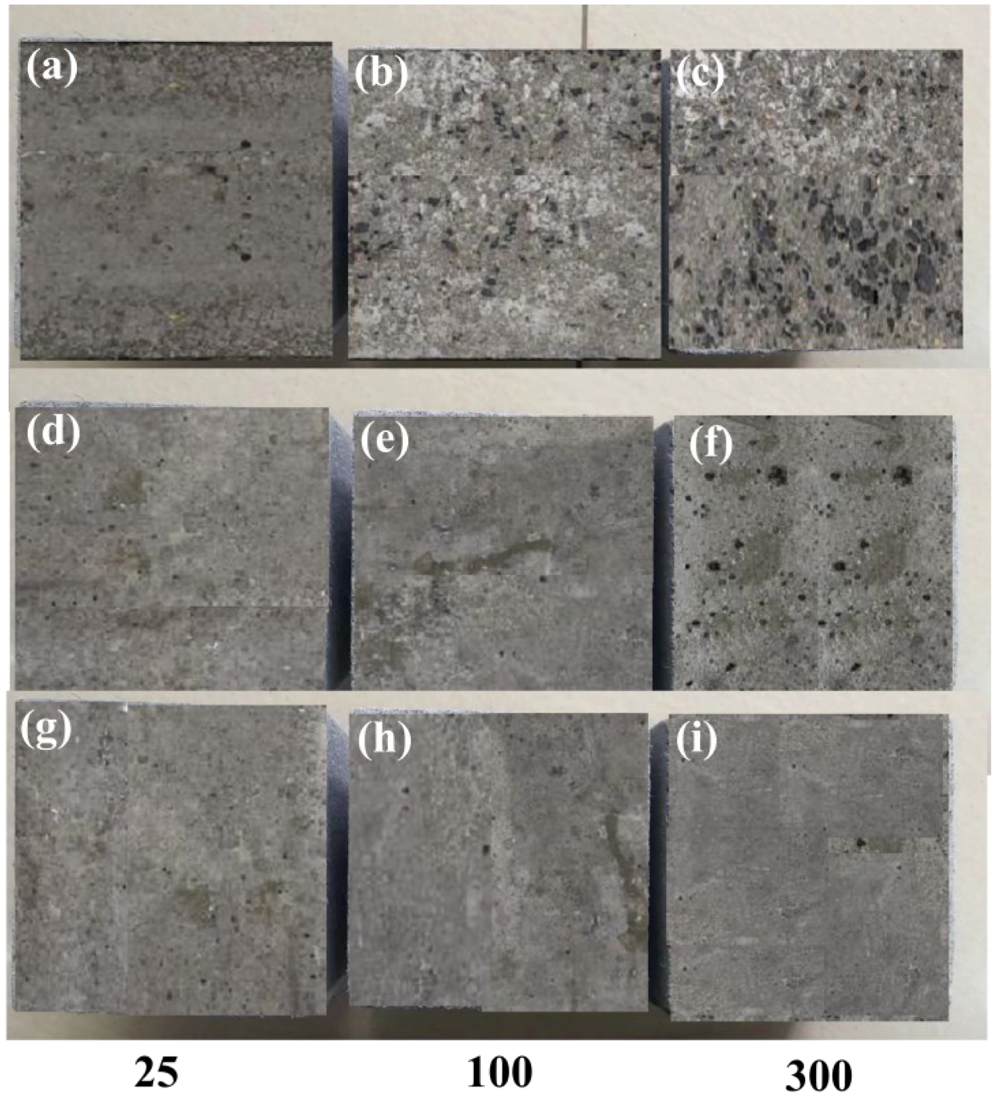 Coatings 13 01964 g016