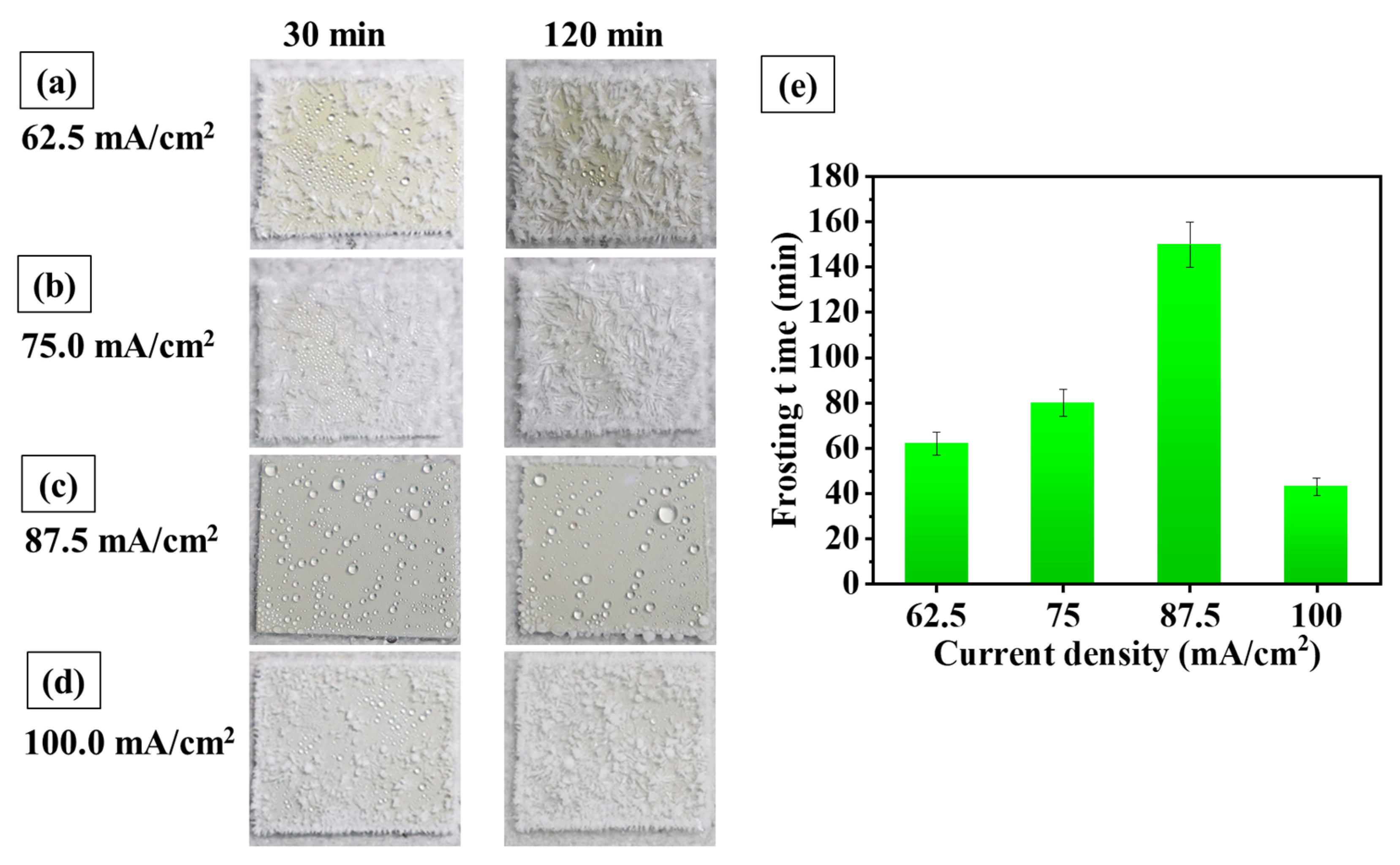 Coatings 13 01971 g005