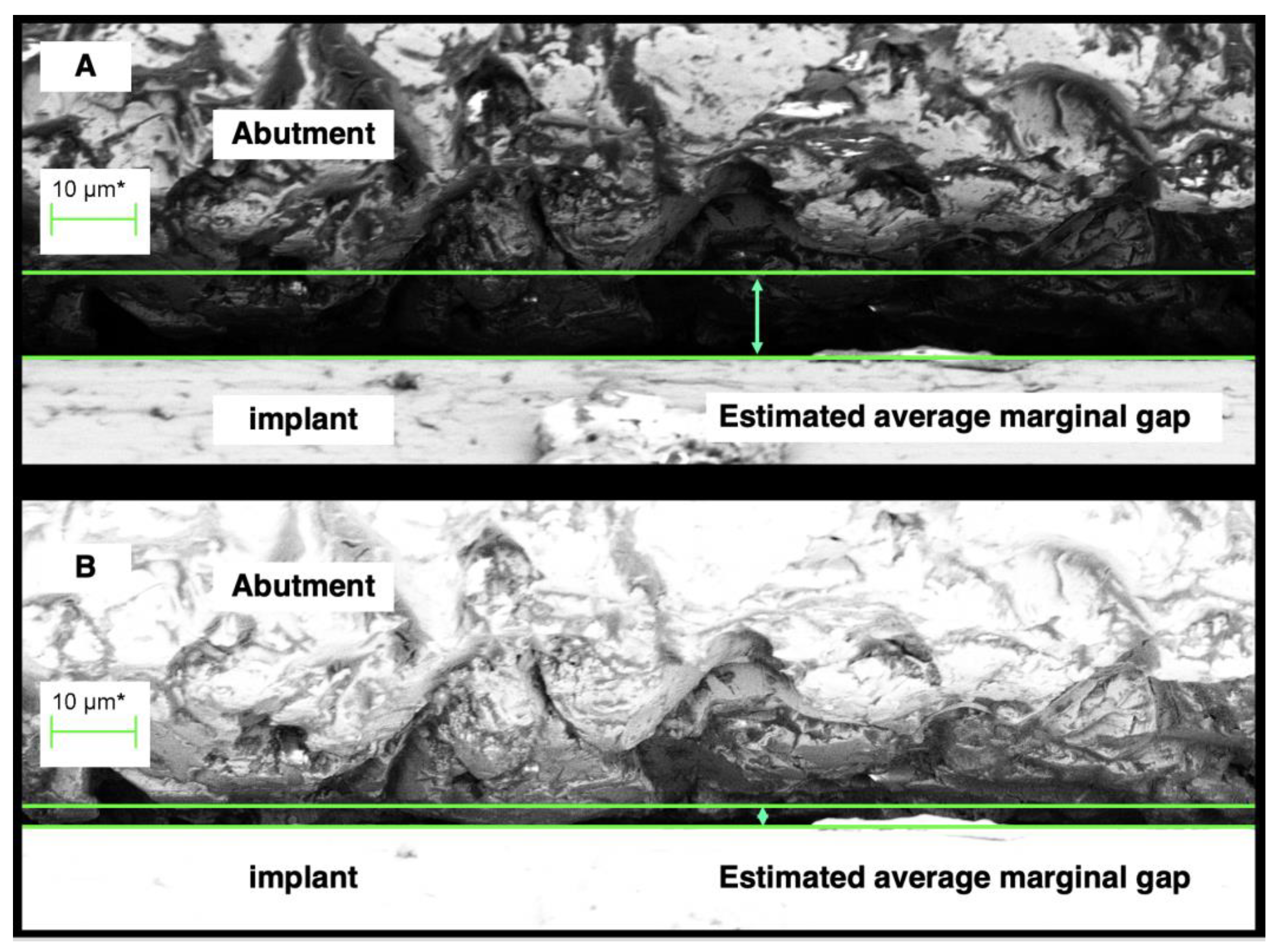 Coatings 13 01976 g005