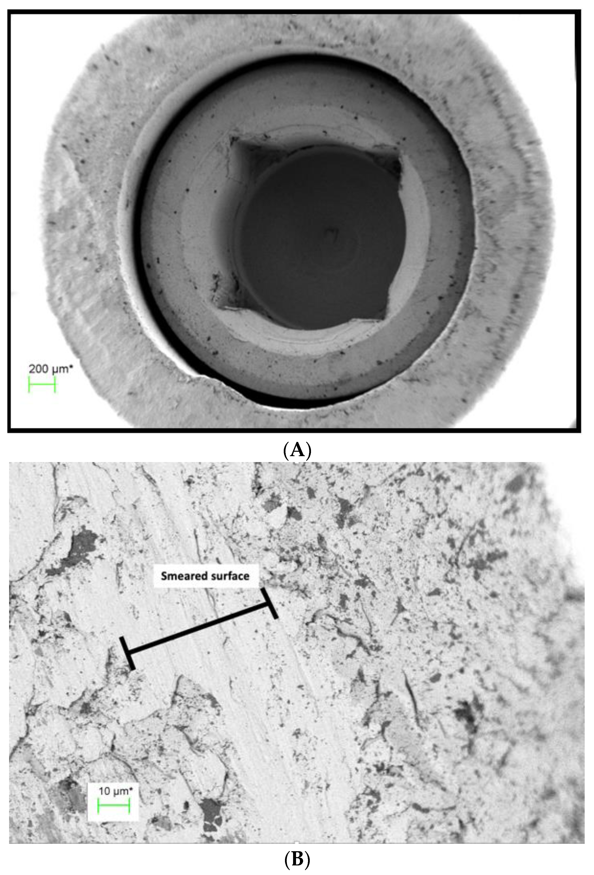 Coatings 13 01976 g009