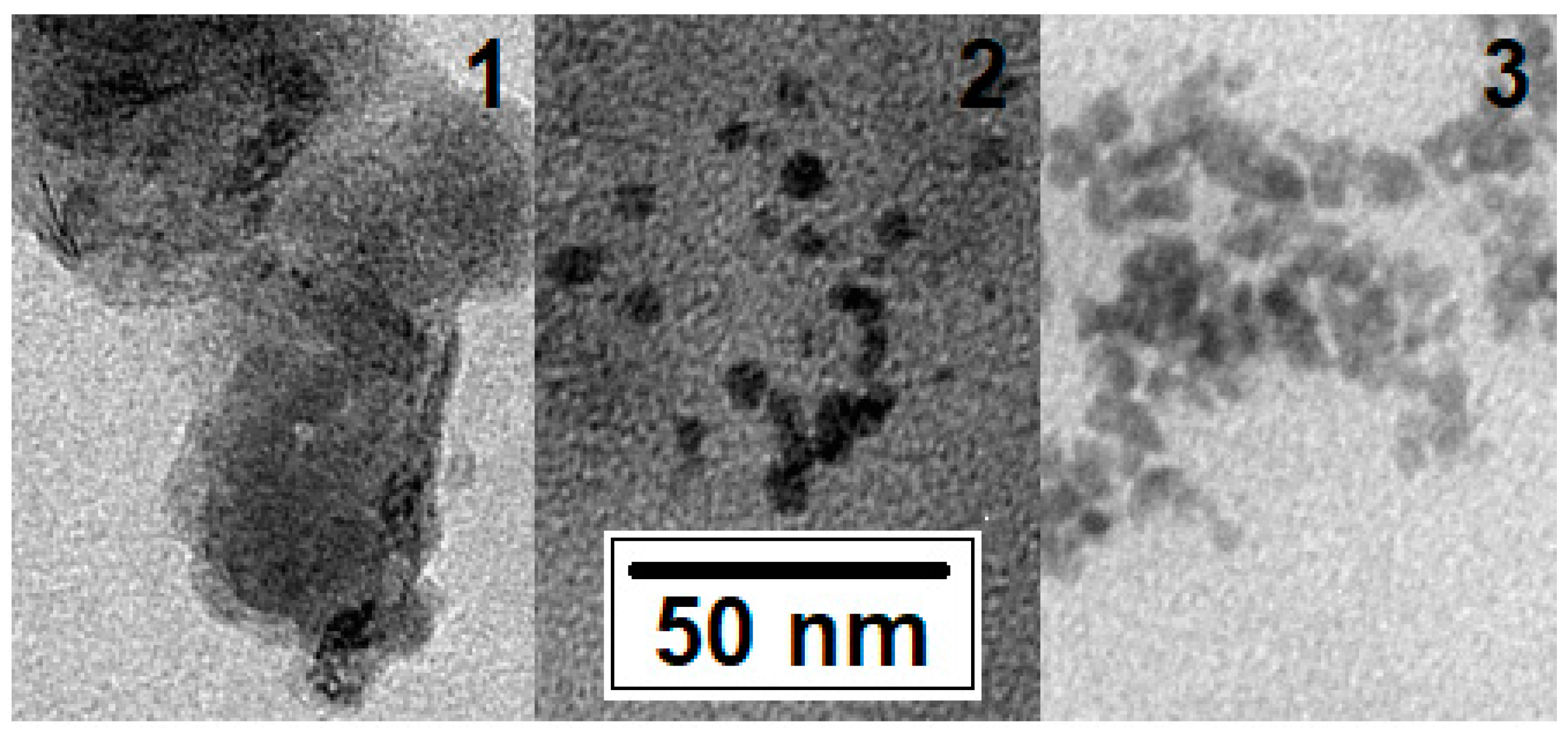 Coatings 13 01978 g003