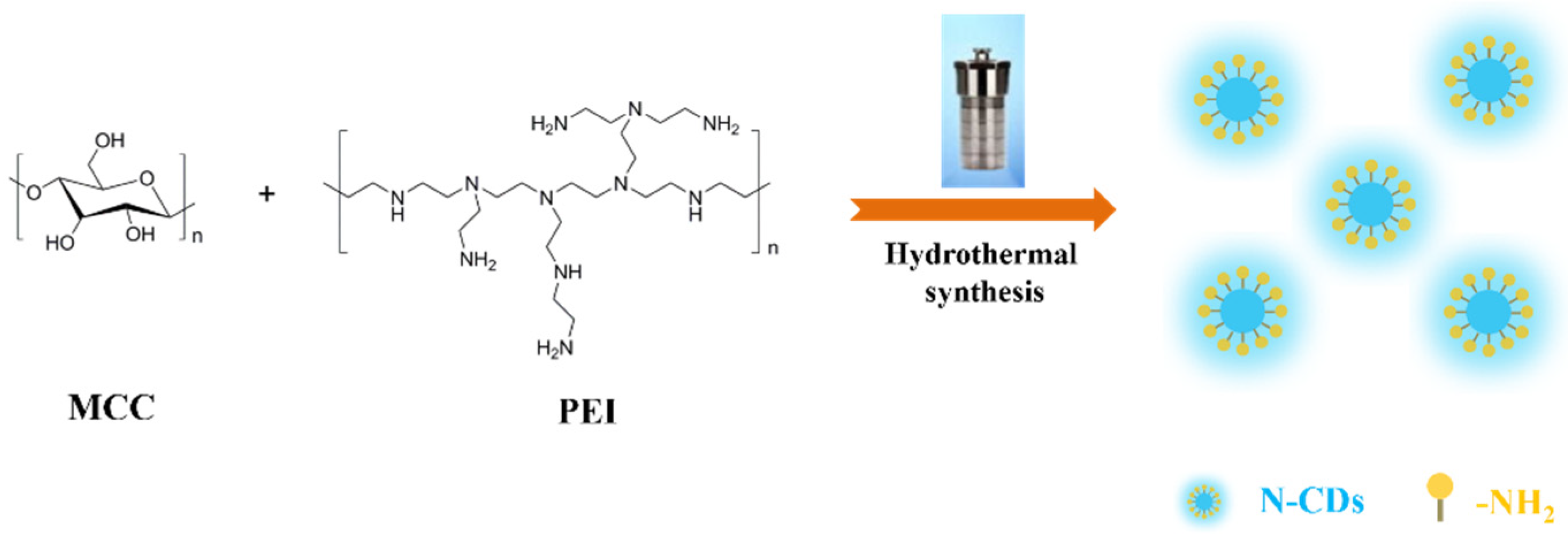 Coatings 13 01979 g001