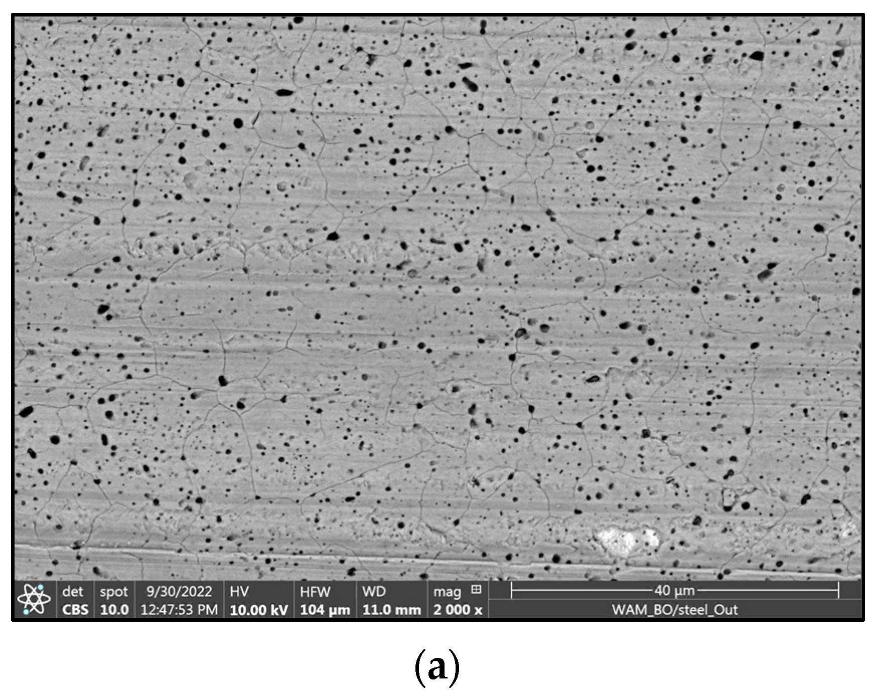 Coatings 13 01980 g005a Coatings 13 01980 g005a