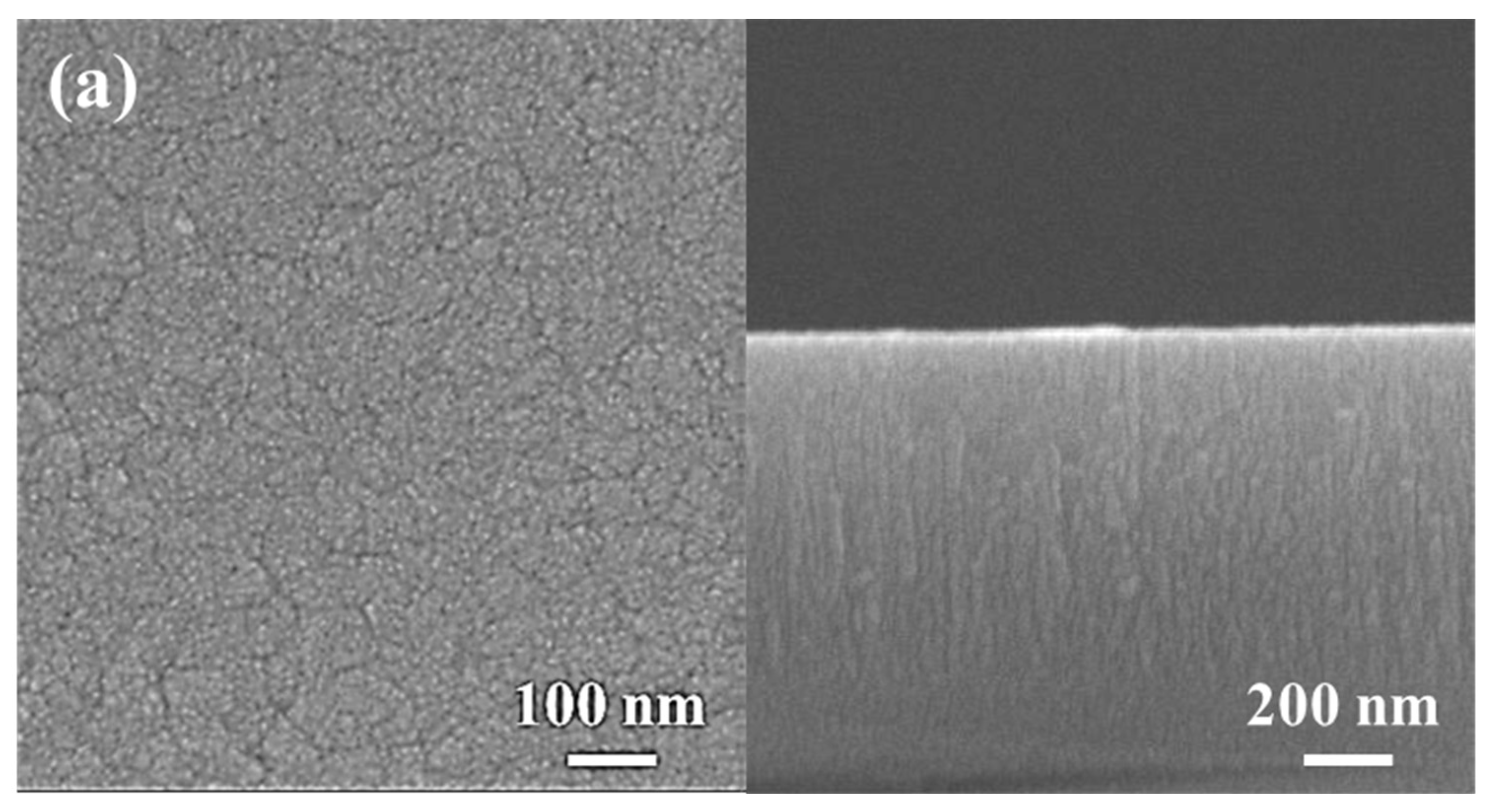 Coatings 13 01985 g004a