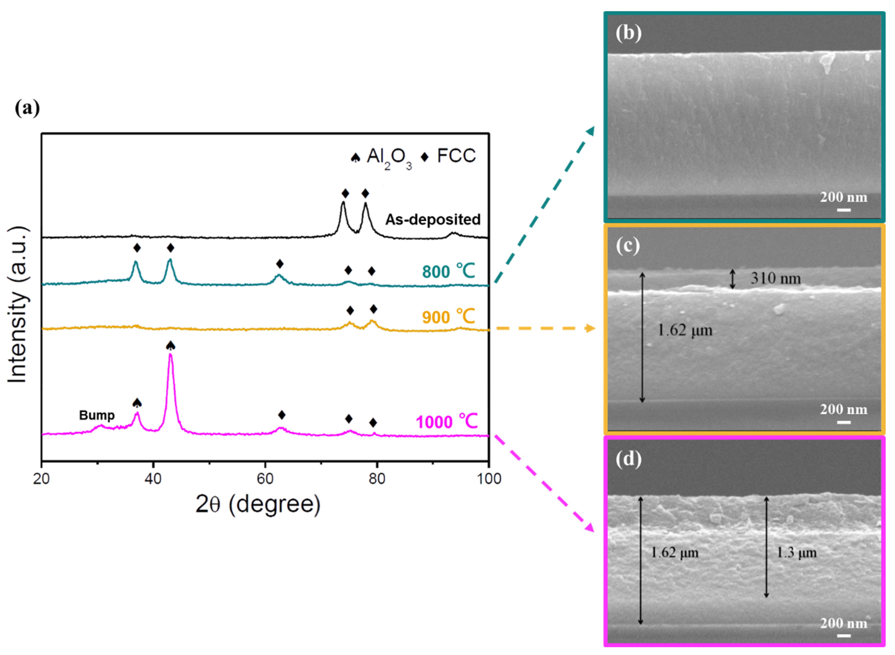 Coatings 13 01985 g010
