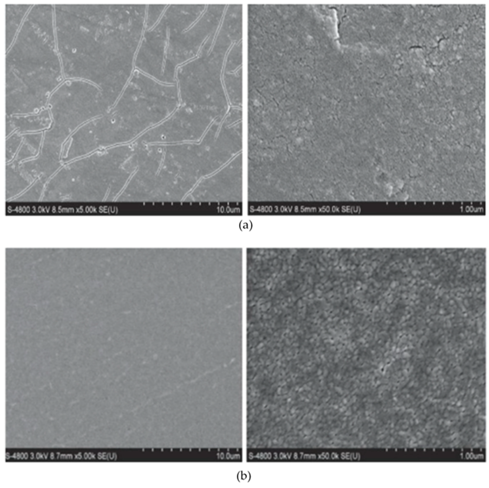 Coatings 13 01988 g009 Coatings 13 01988 g009