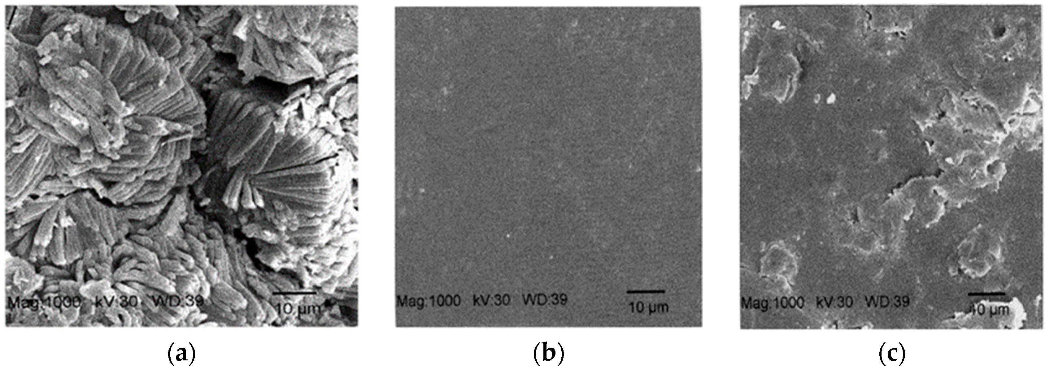 Coatings 13 01988 g011 Coatings 13 01988 g011