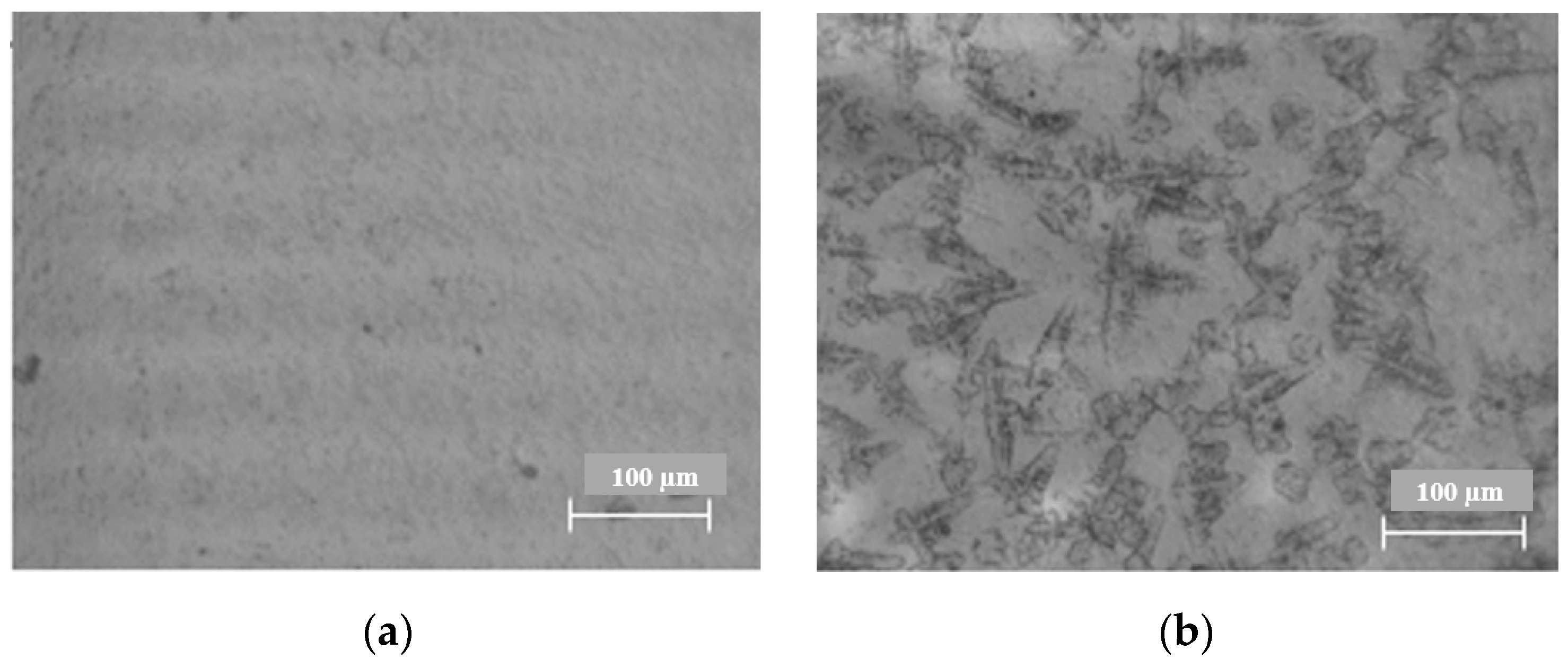Coatings 13 01990 g006