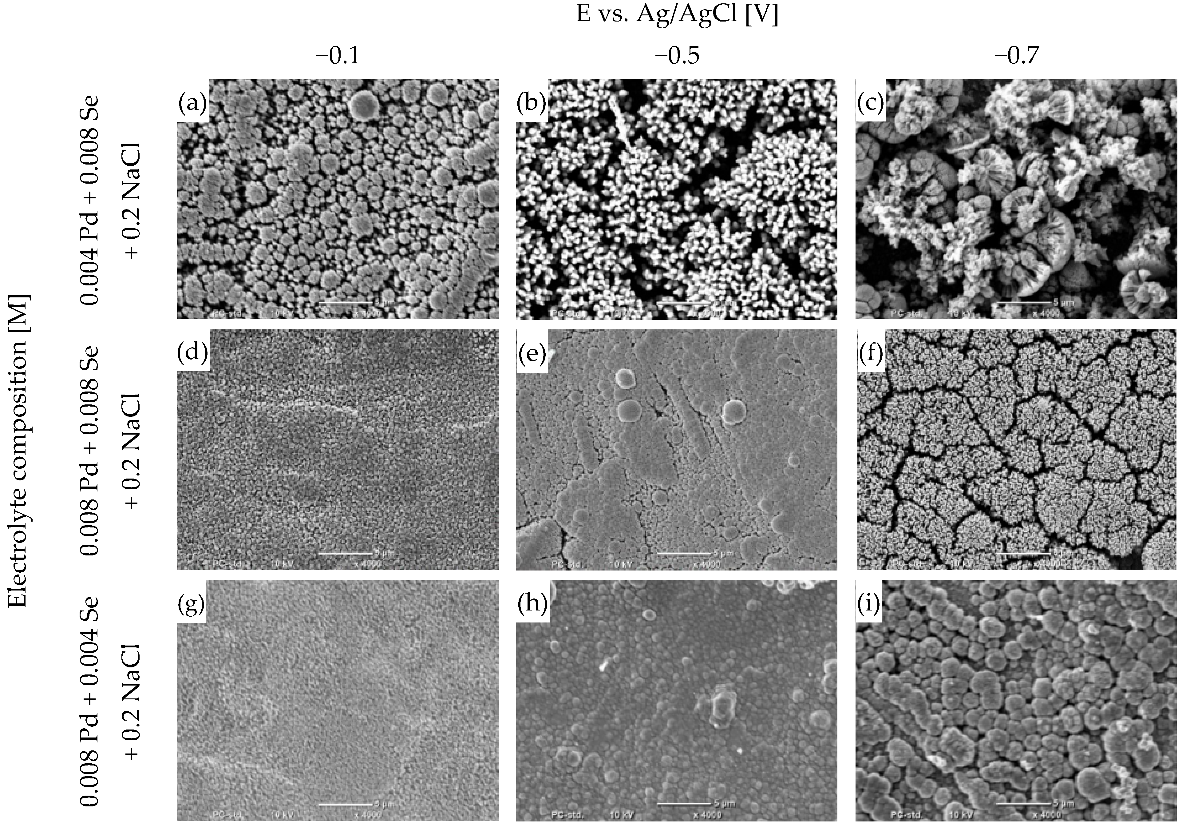 Coatings 13 01993 g004