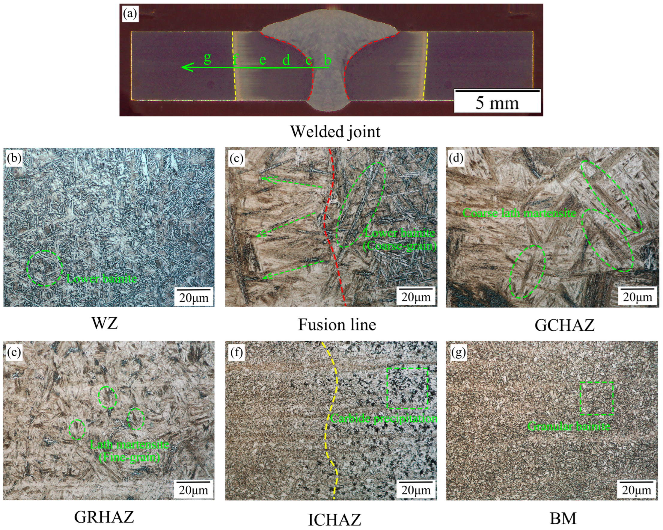 Coatings 13 01995 g002