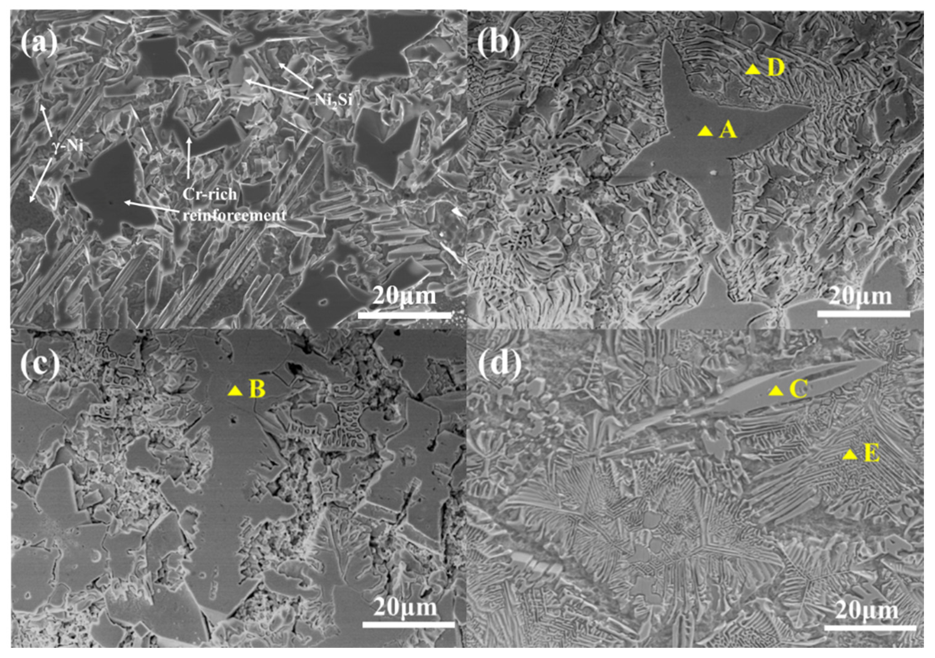 Coatings 13 01996 g001