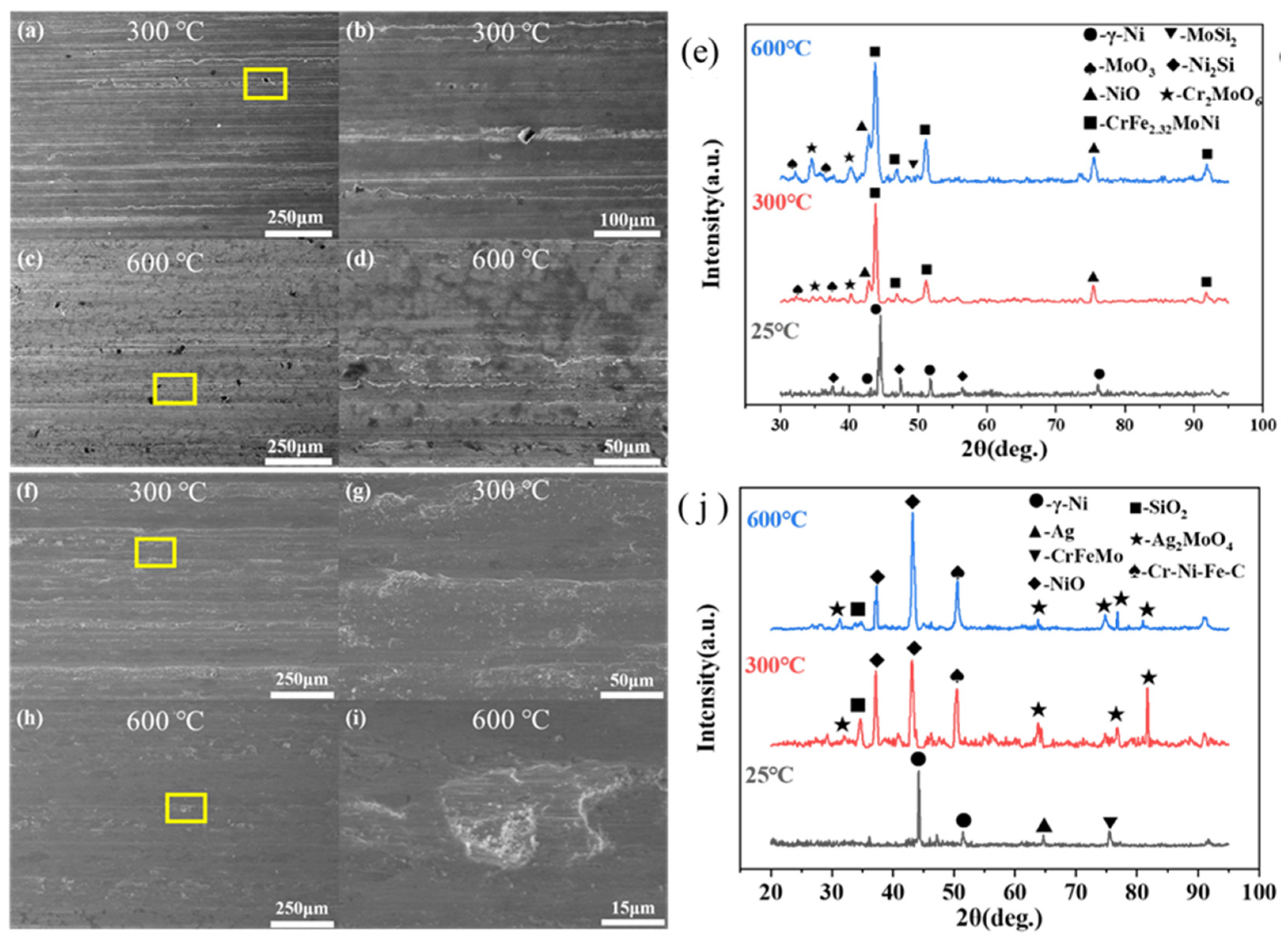 Coatings 13 01996 g007