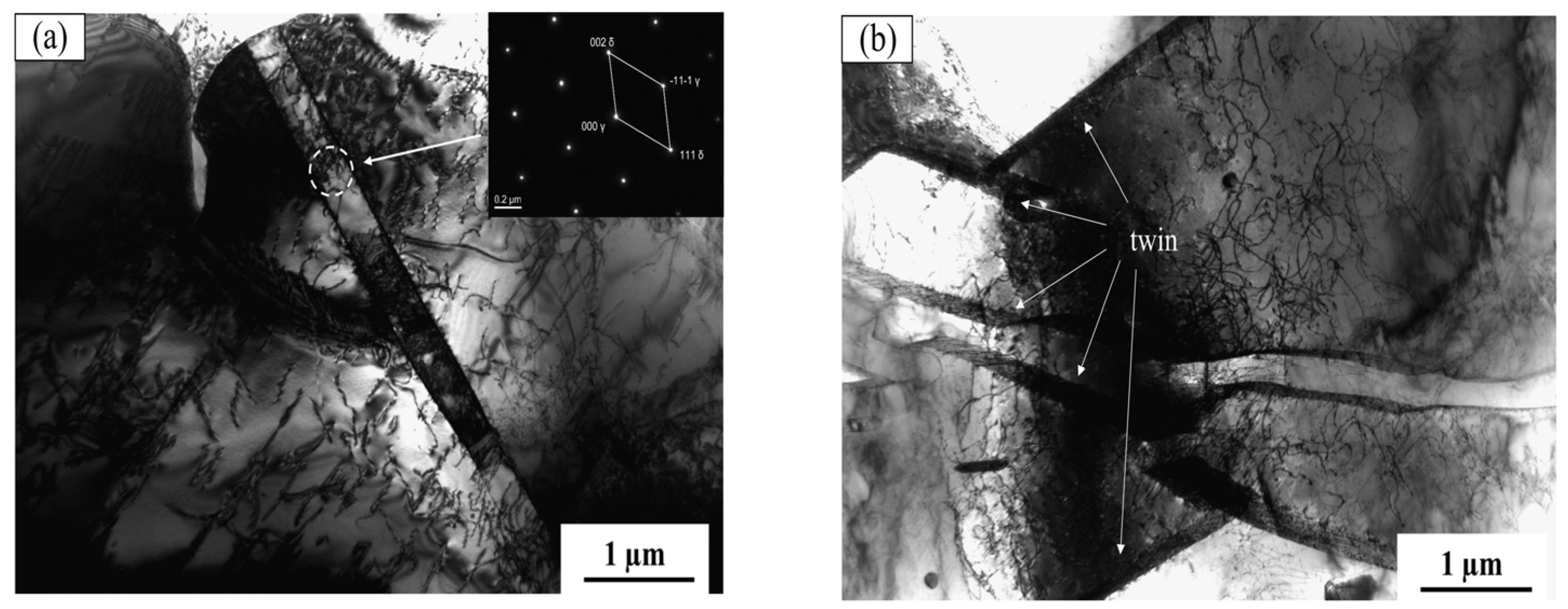 Coatings 13 02000 g009