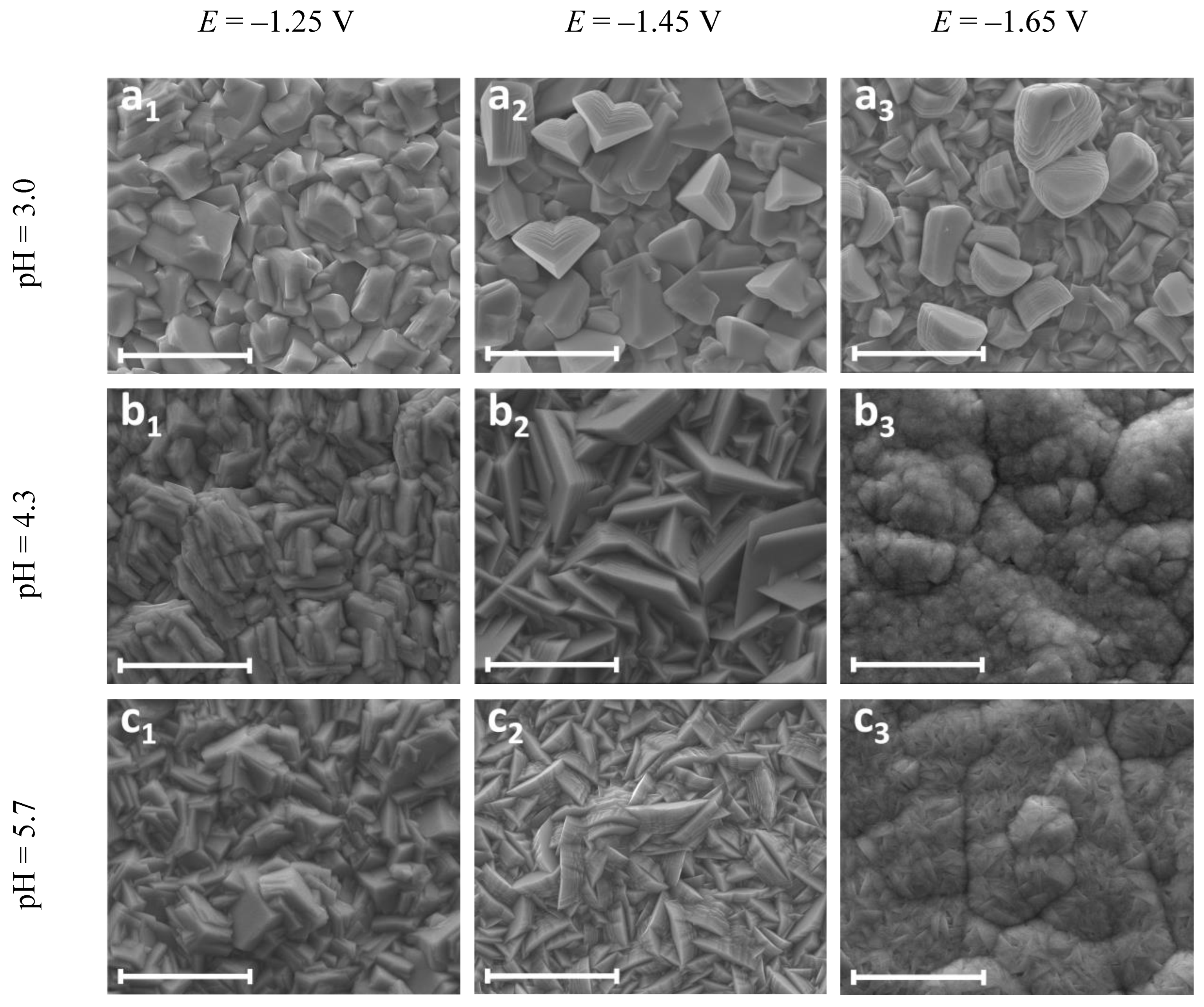 Coatings 13 02001 g008
