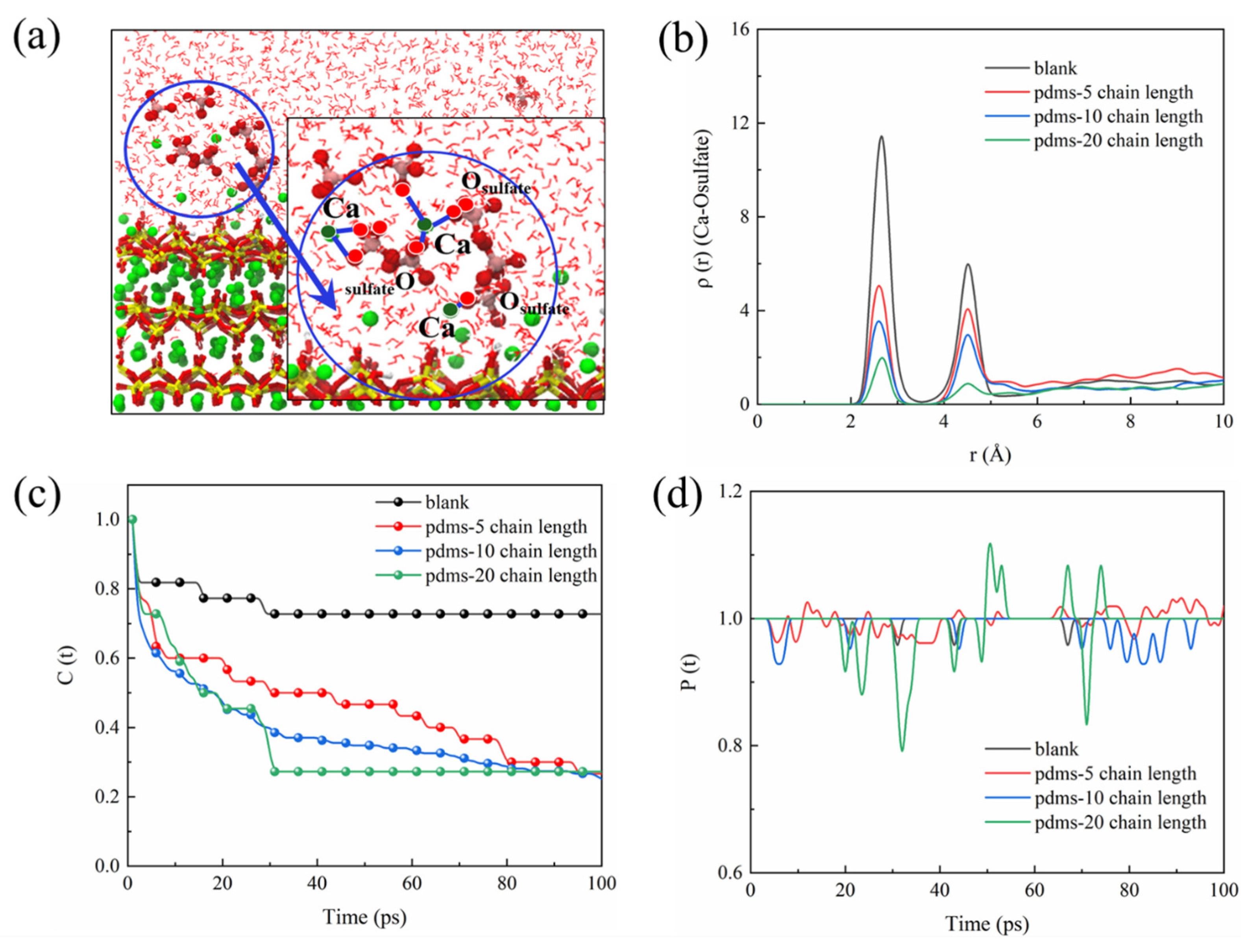 Coatings 13 02004 g005