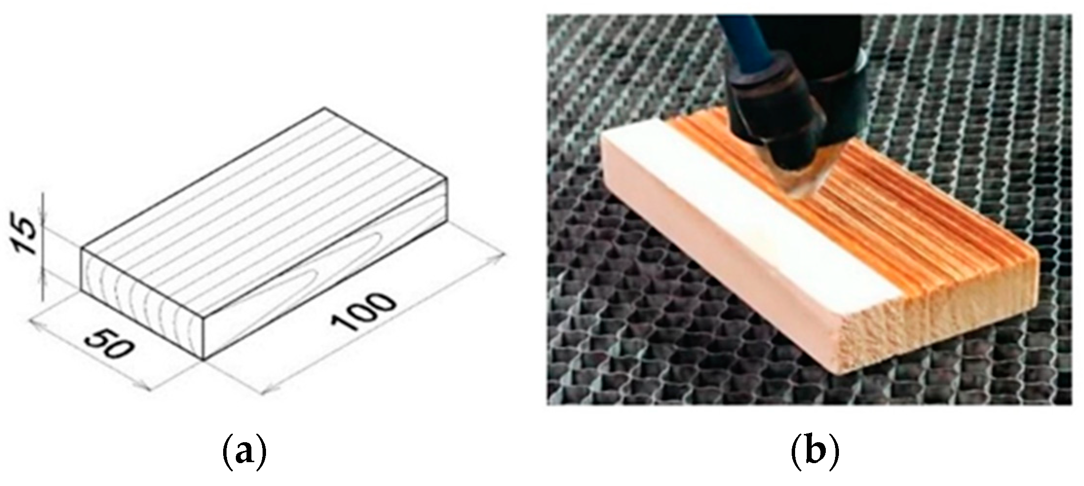 Coatings 13 02006 g001