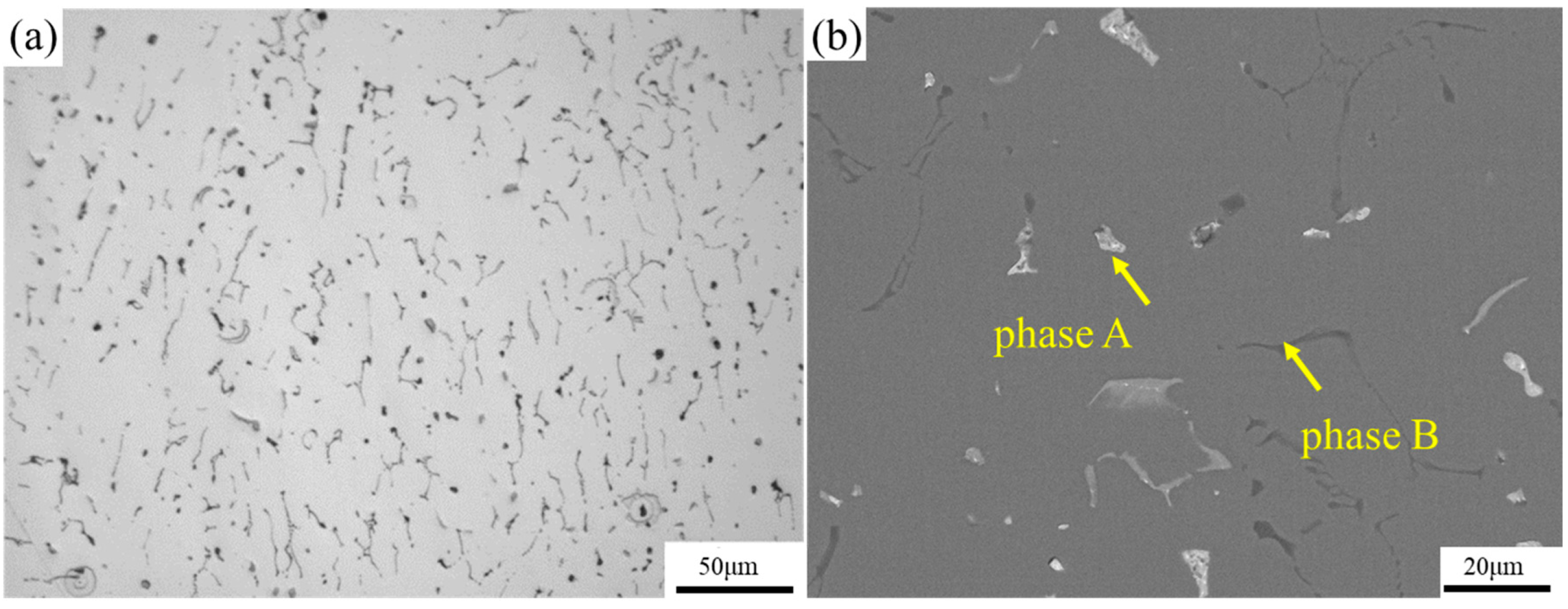 Coatings 13 02012 g002