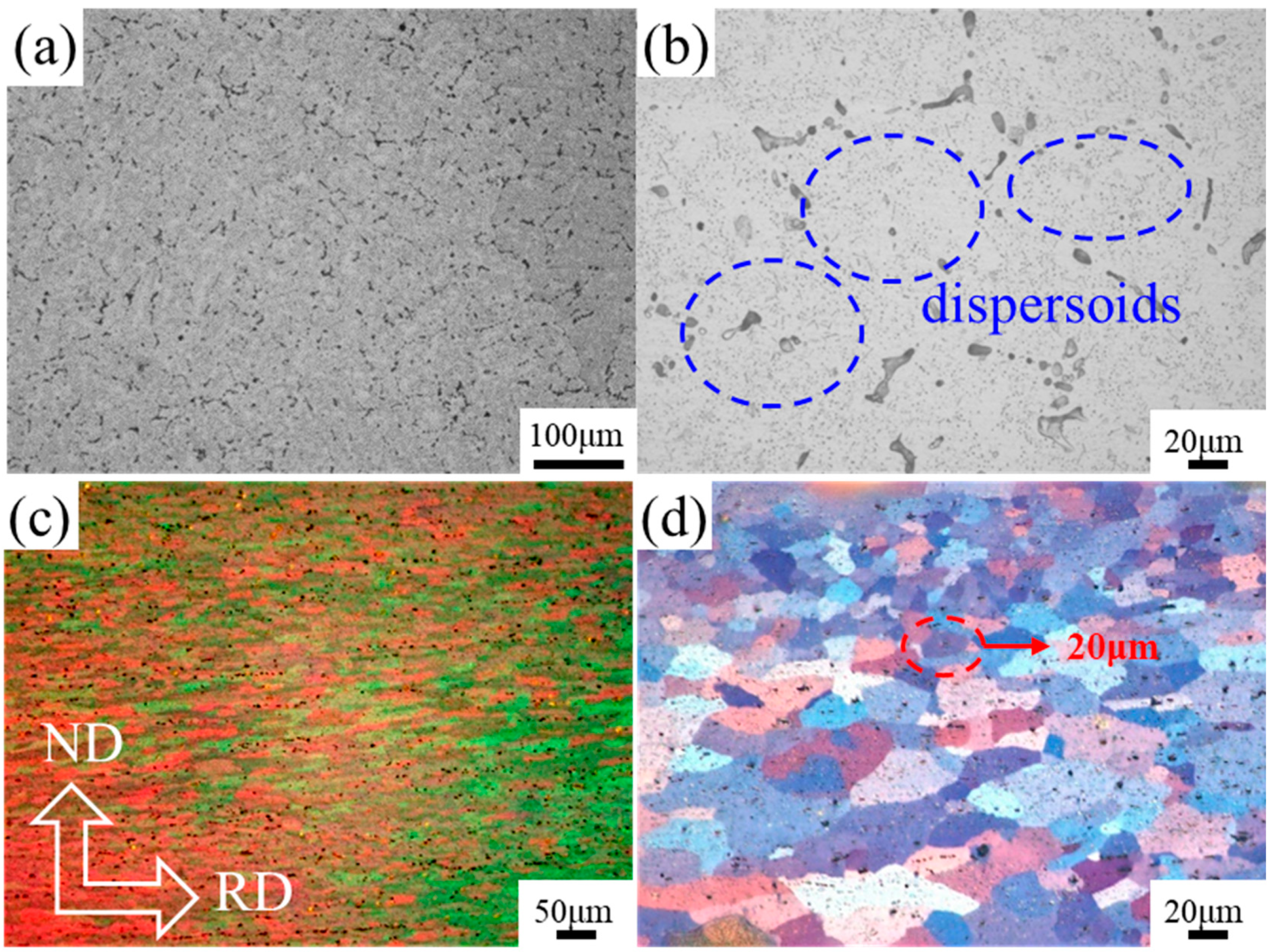 Coatings 13 02012 g003