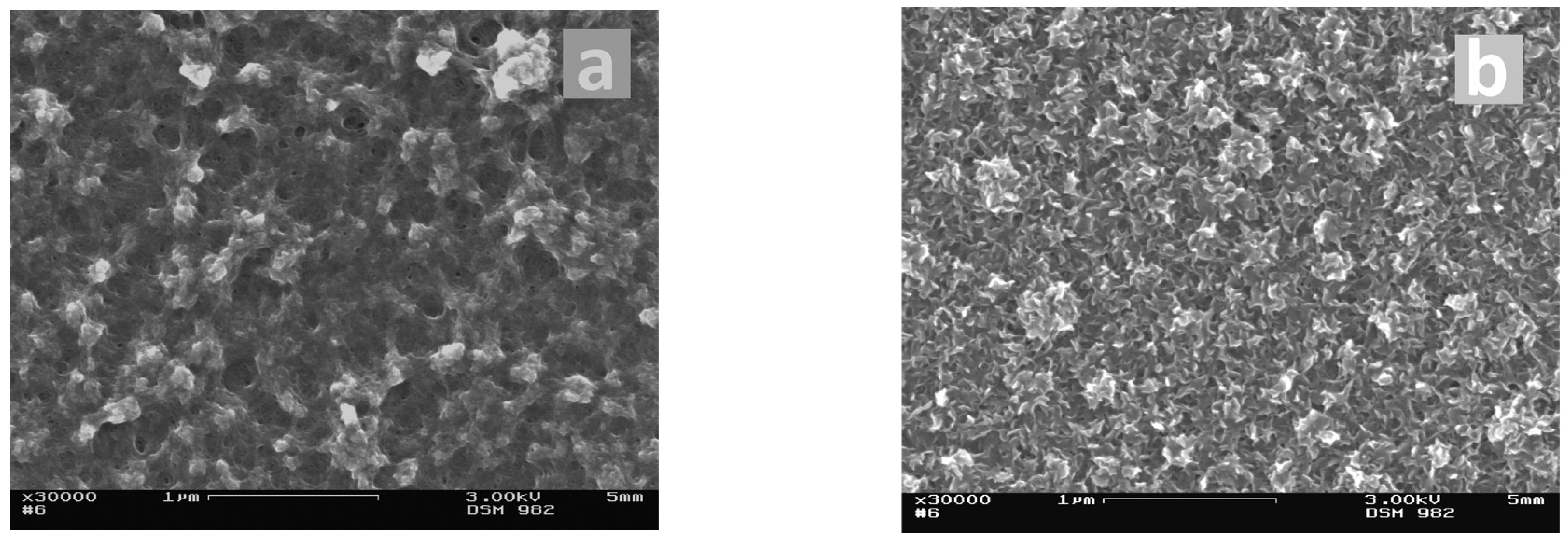 Coatings 13 02014 g003