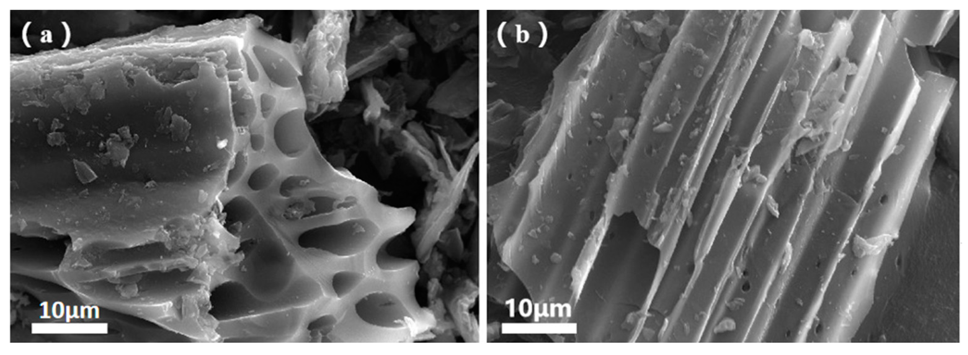 Coatings 13 02017 g004
