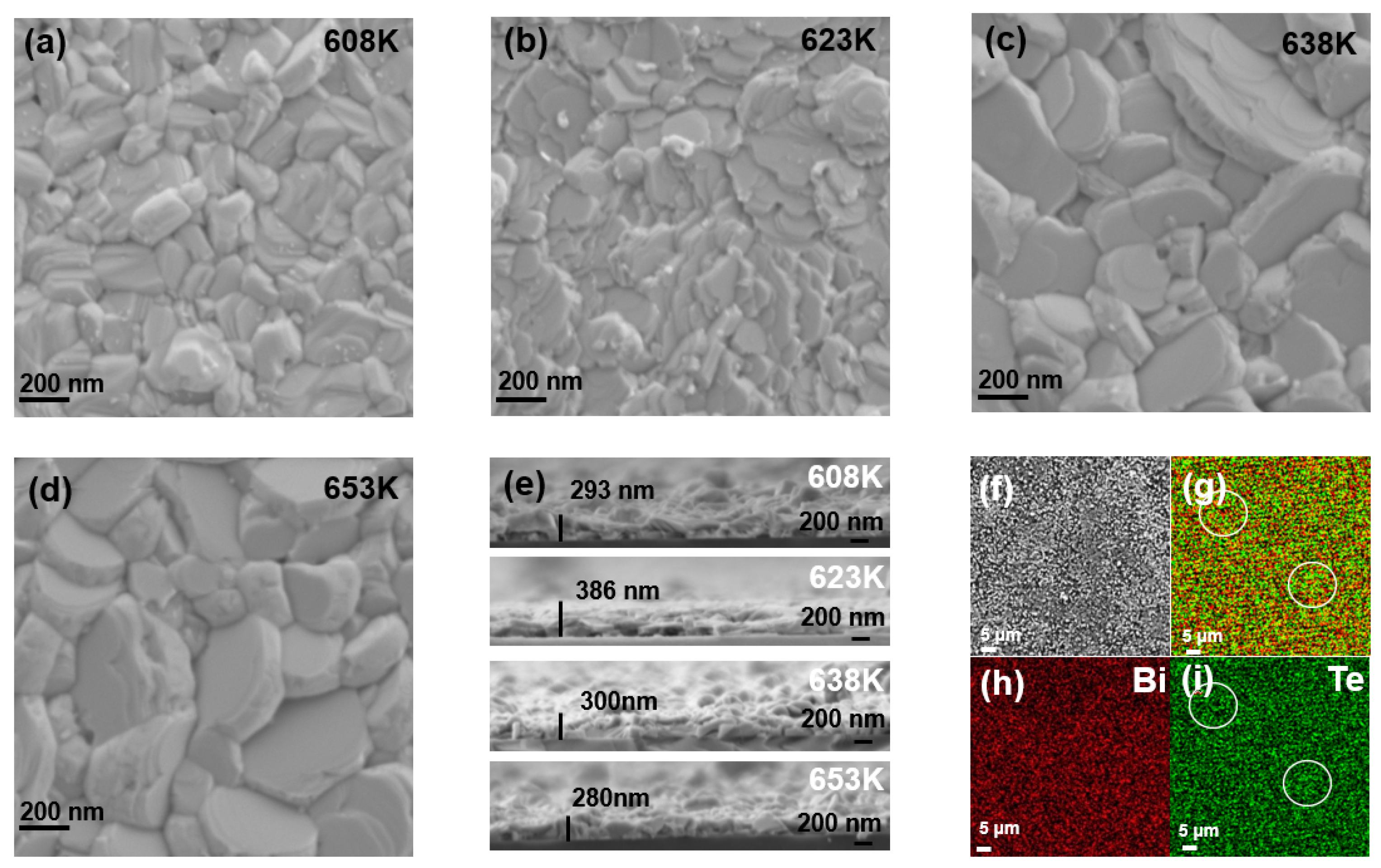 Coatings 13 02018 g003