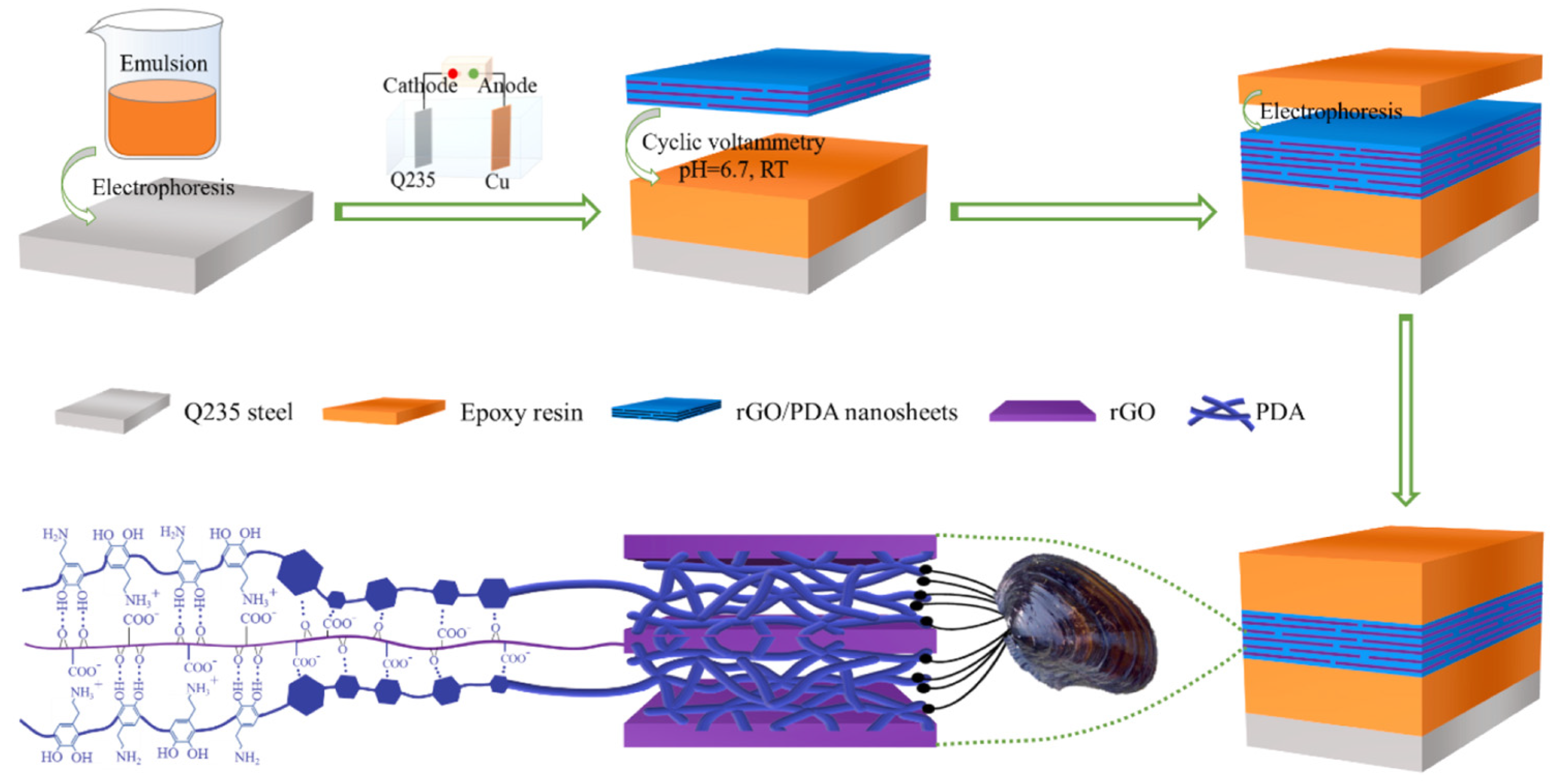 Coatings 13 02019 g007