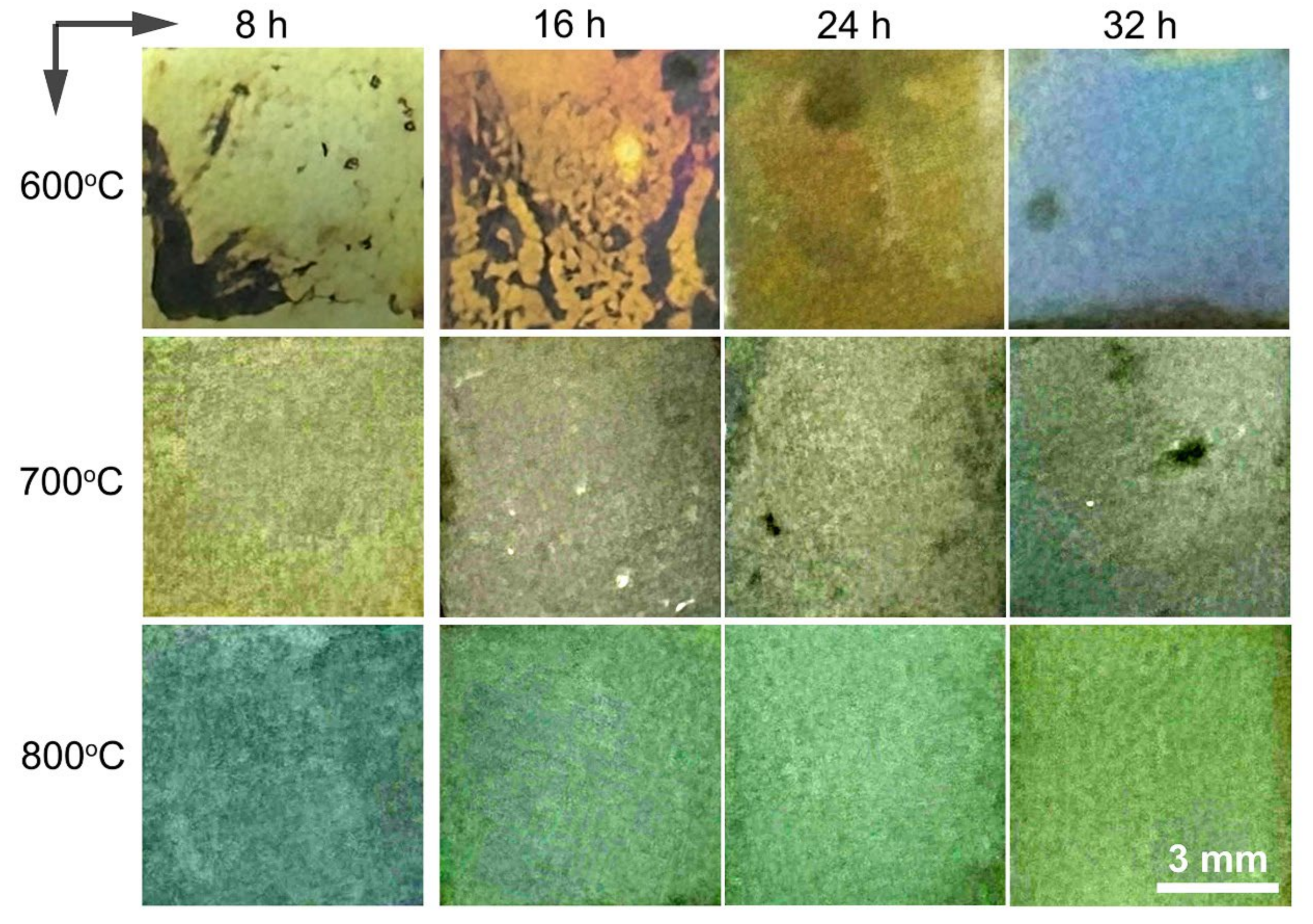 Coatings 13 02020 g003