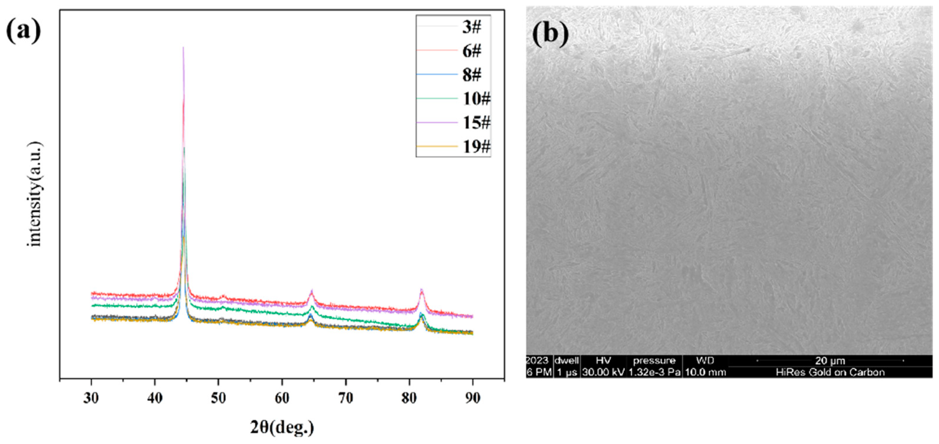 Coatings 13 02021 g003