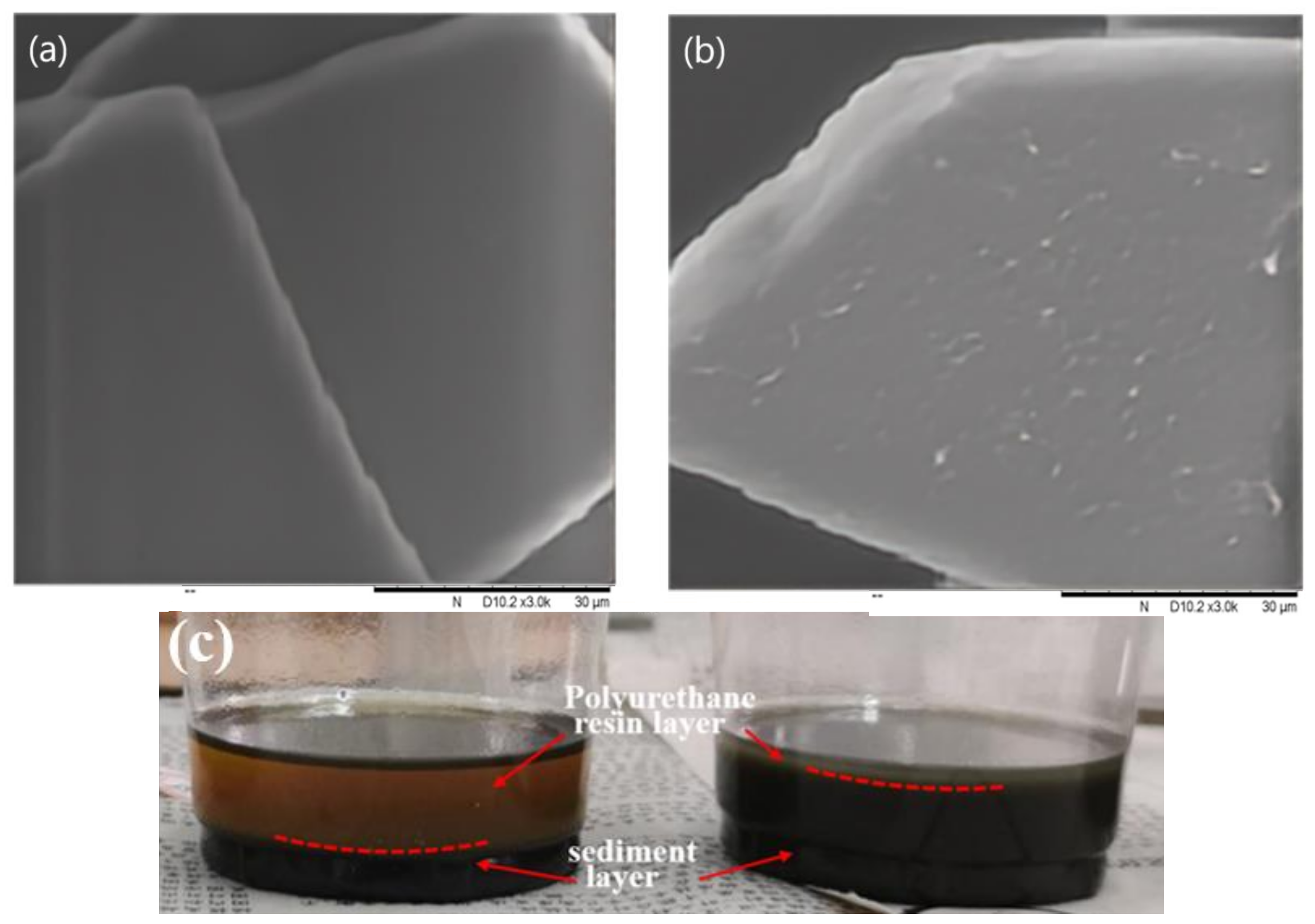 Coatings 13 02022 g001