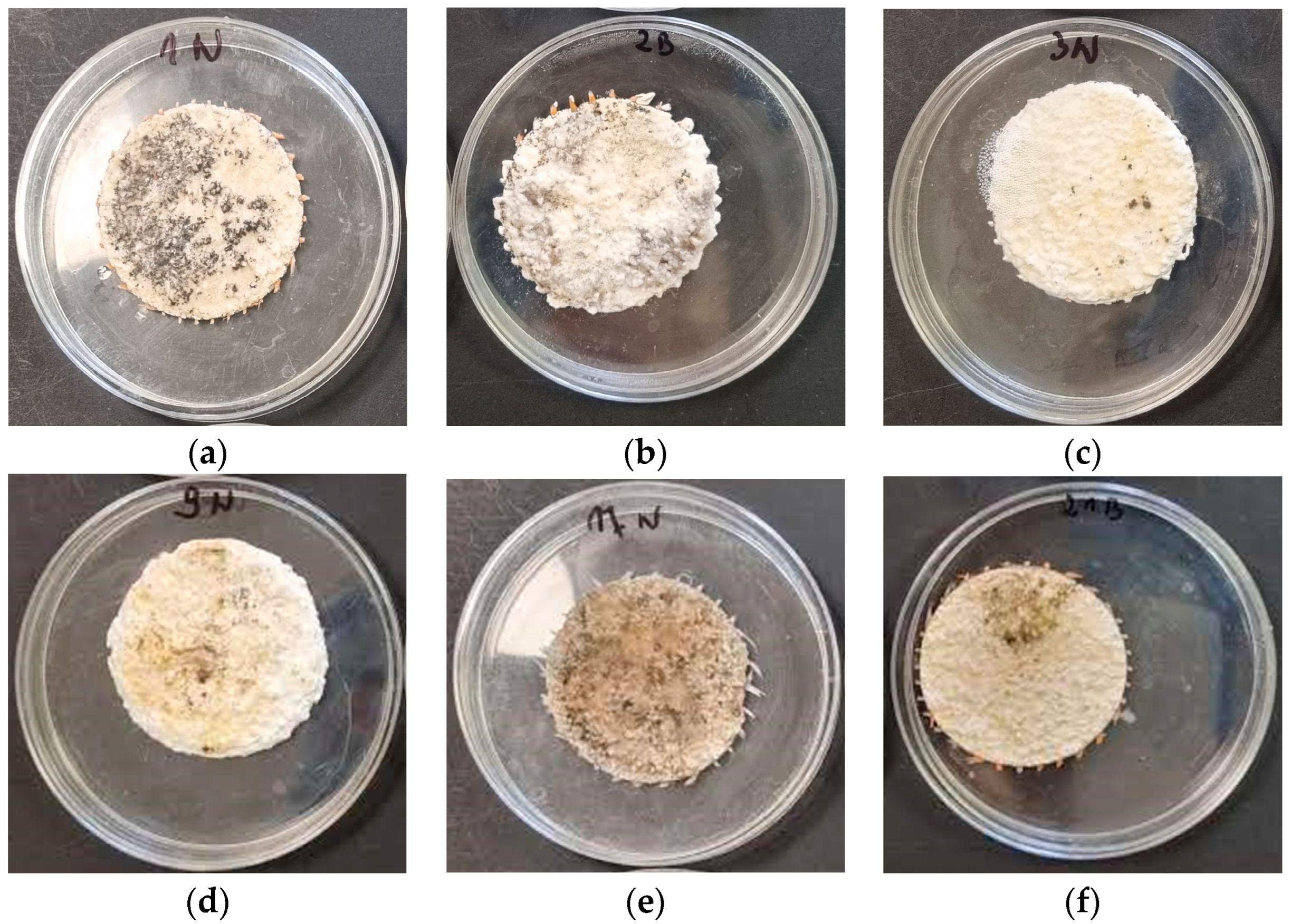 Coatings 13 02026 g004
