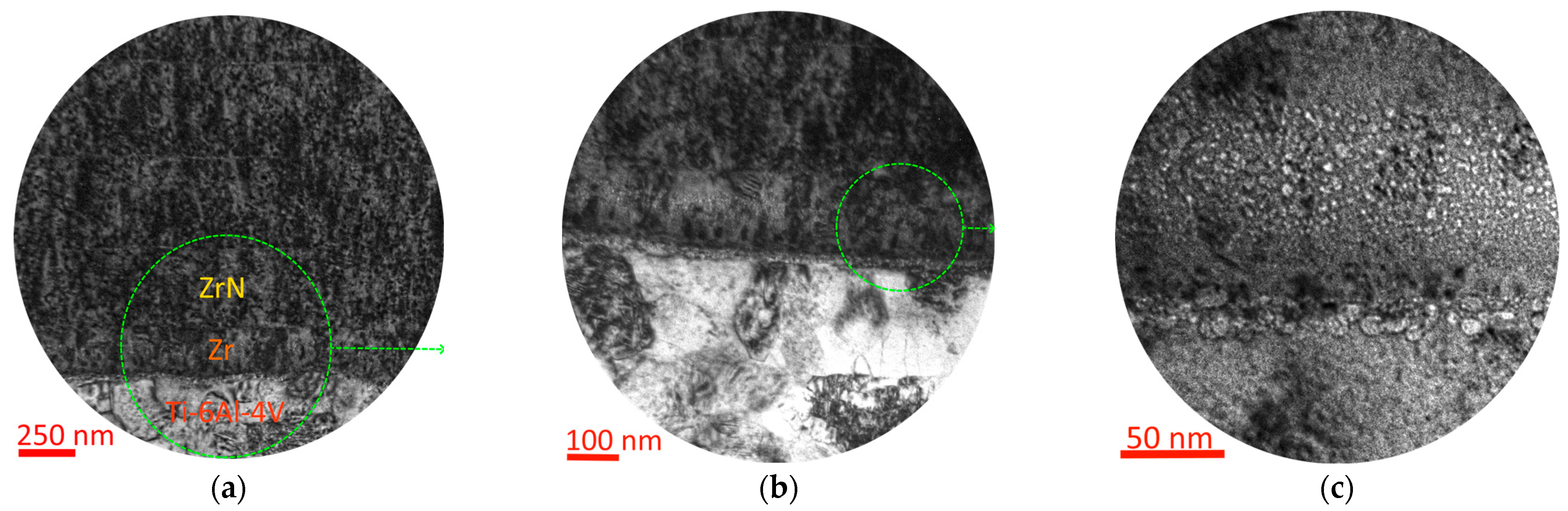 Coatings 13 02028 g004