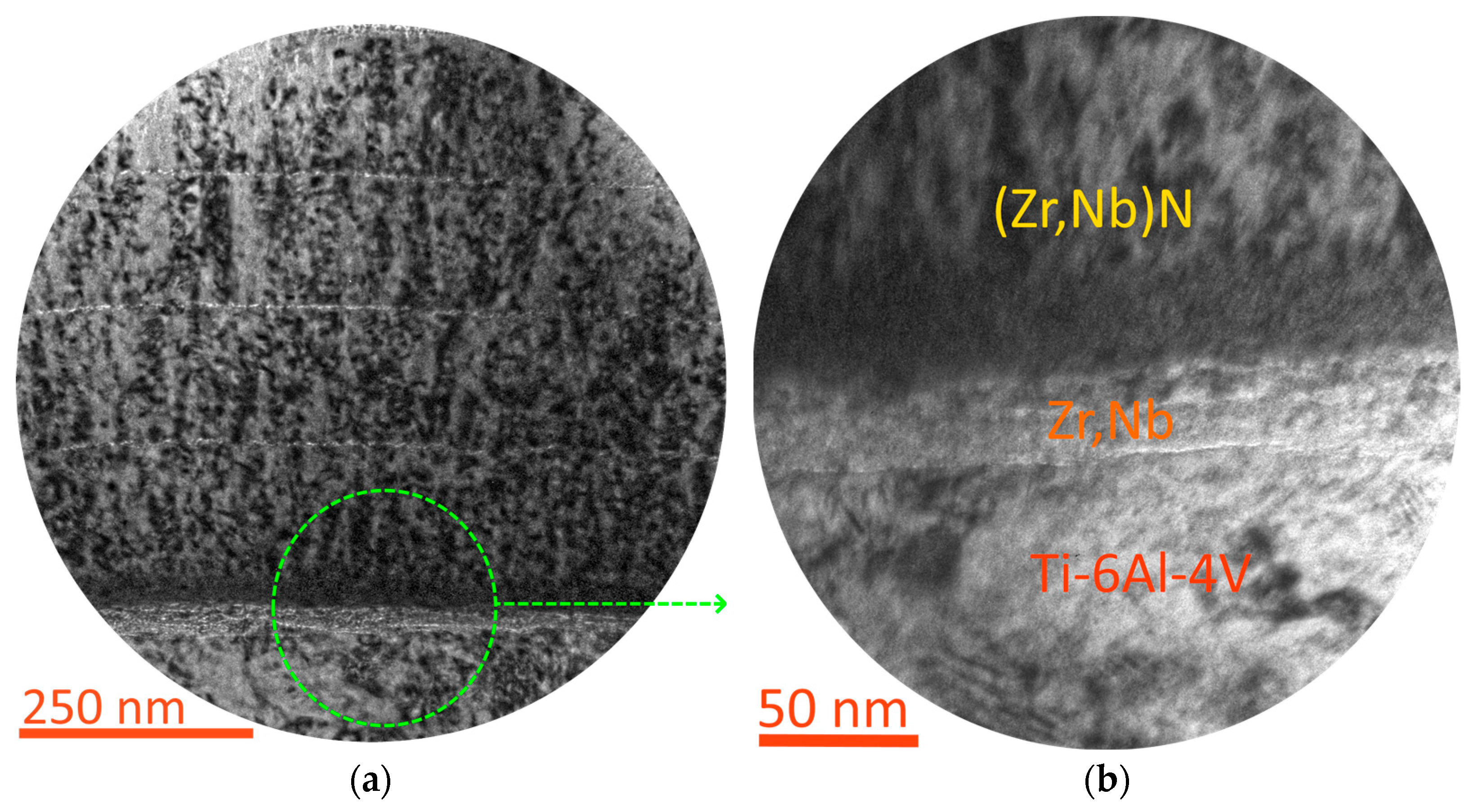 Coatings 13 02028 g006