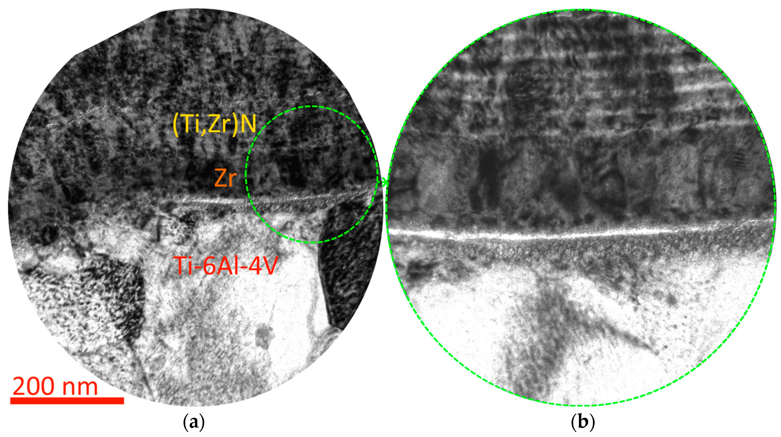 Coatings 13 02028 g007