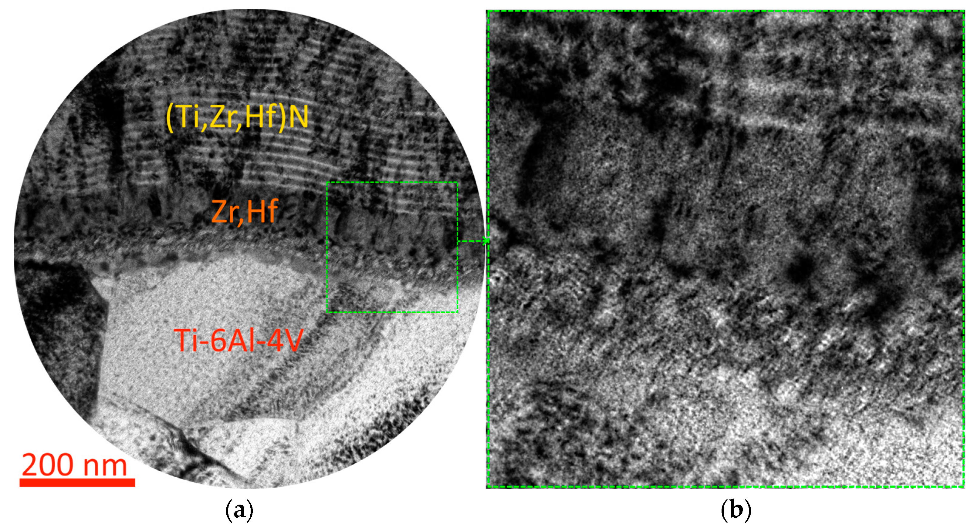 Coatings 13 02028 g008