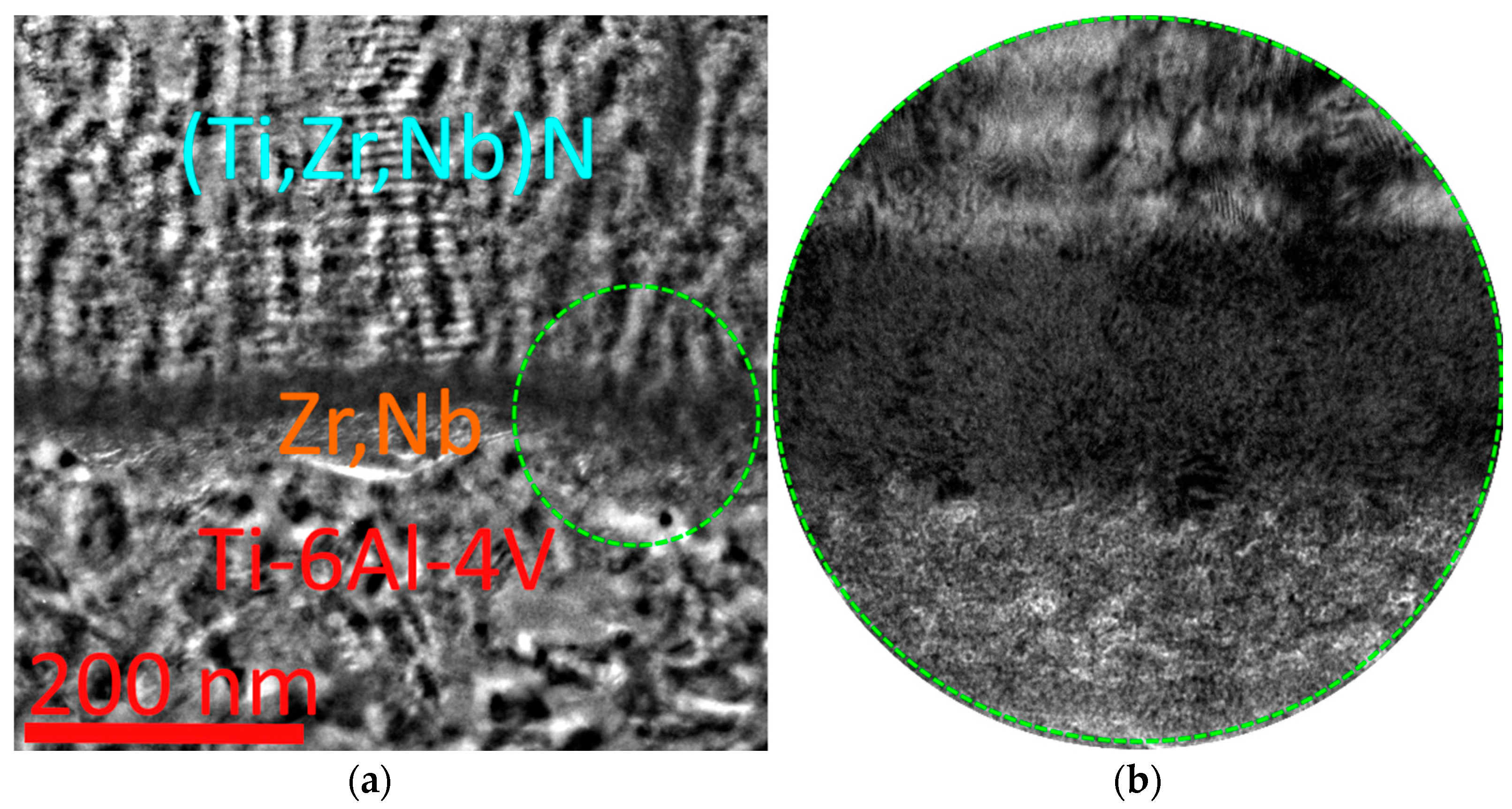 Coatings 13 02028 g009