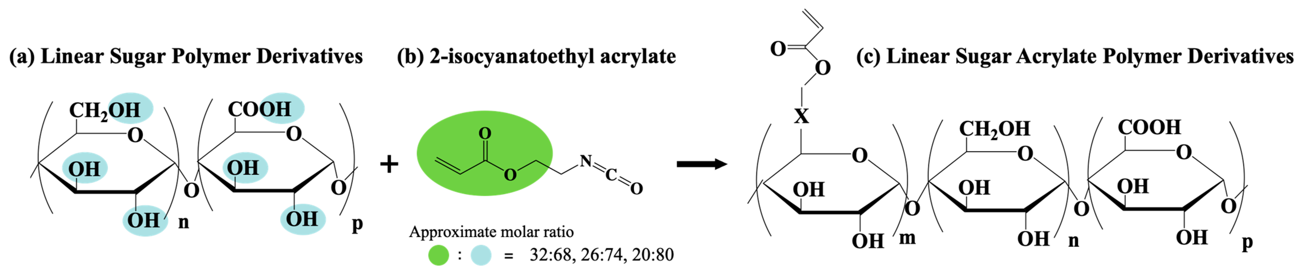 Coatings 13 02038 g002