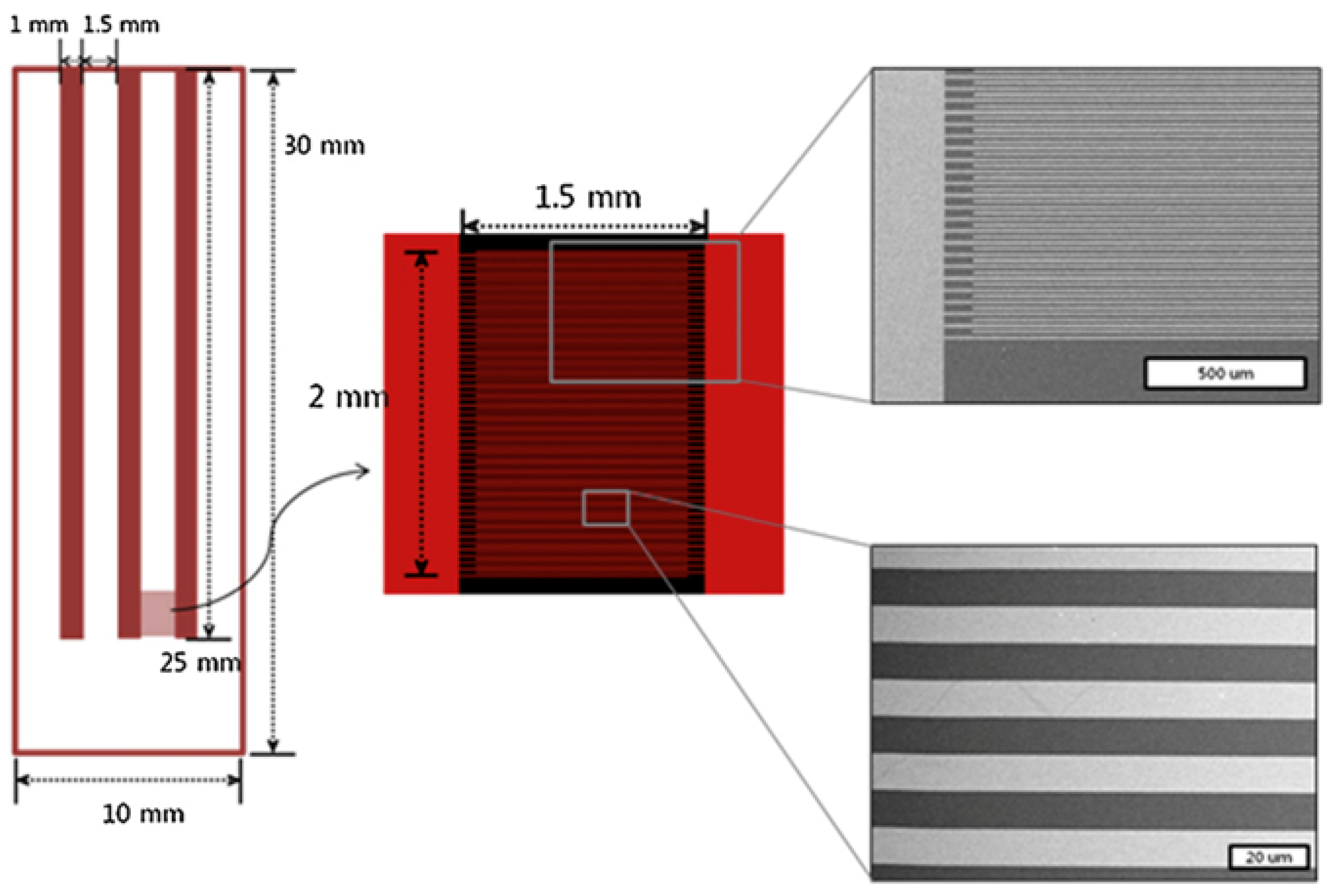 Coatings 13 02040 g004