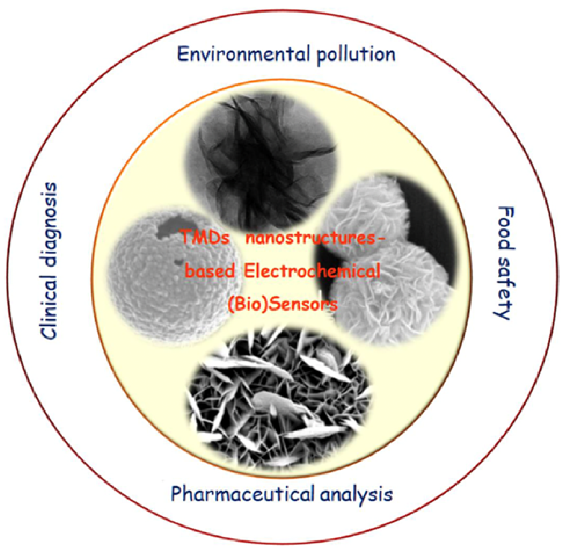Coatings 13 02040 g008