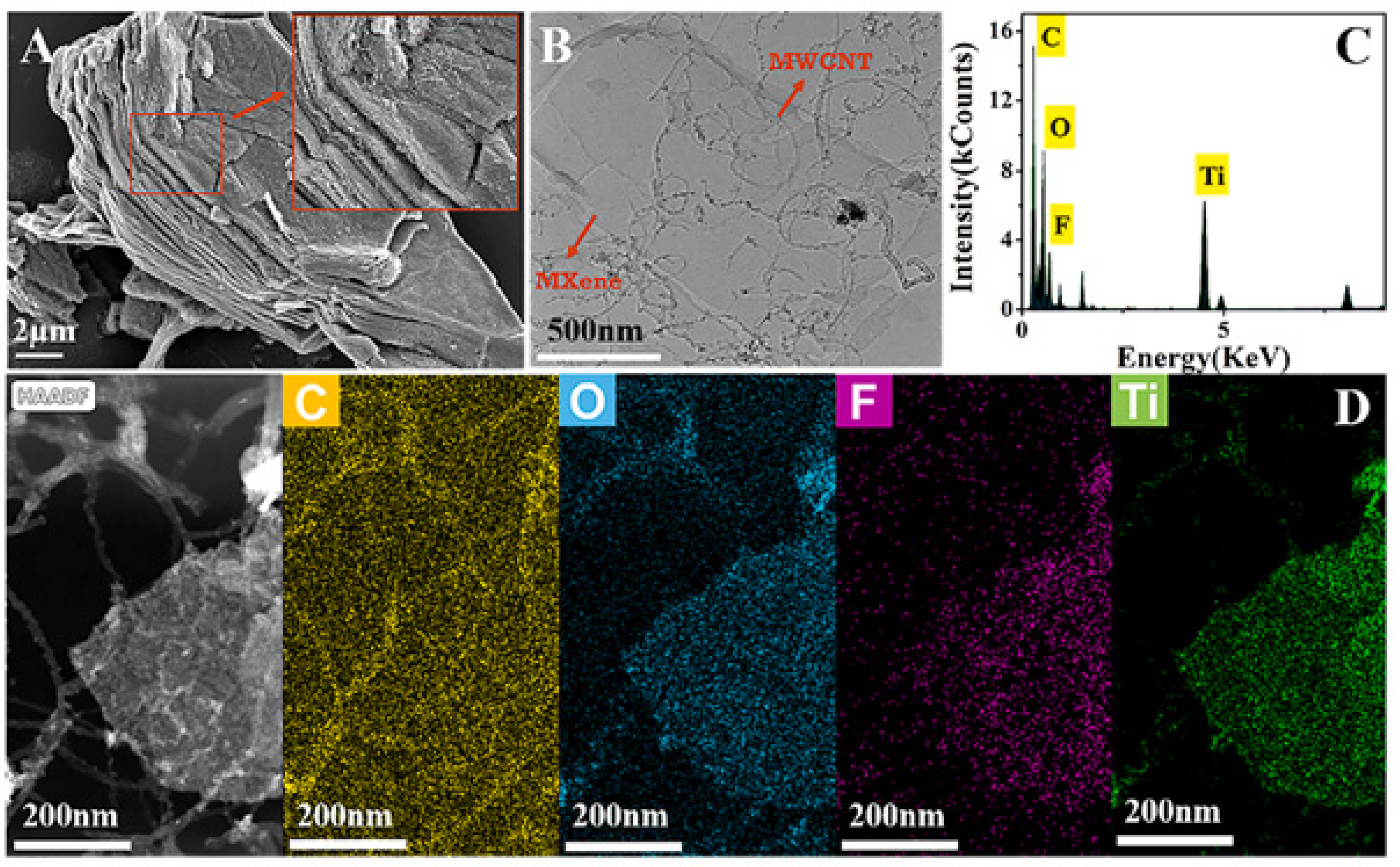 Coatings 13 02040 g009