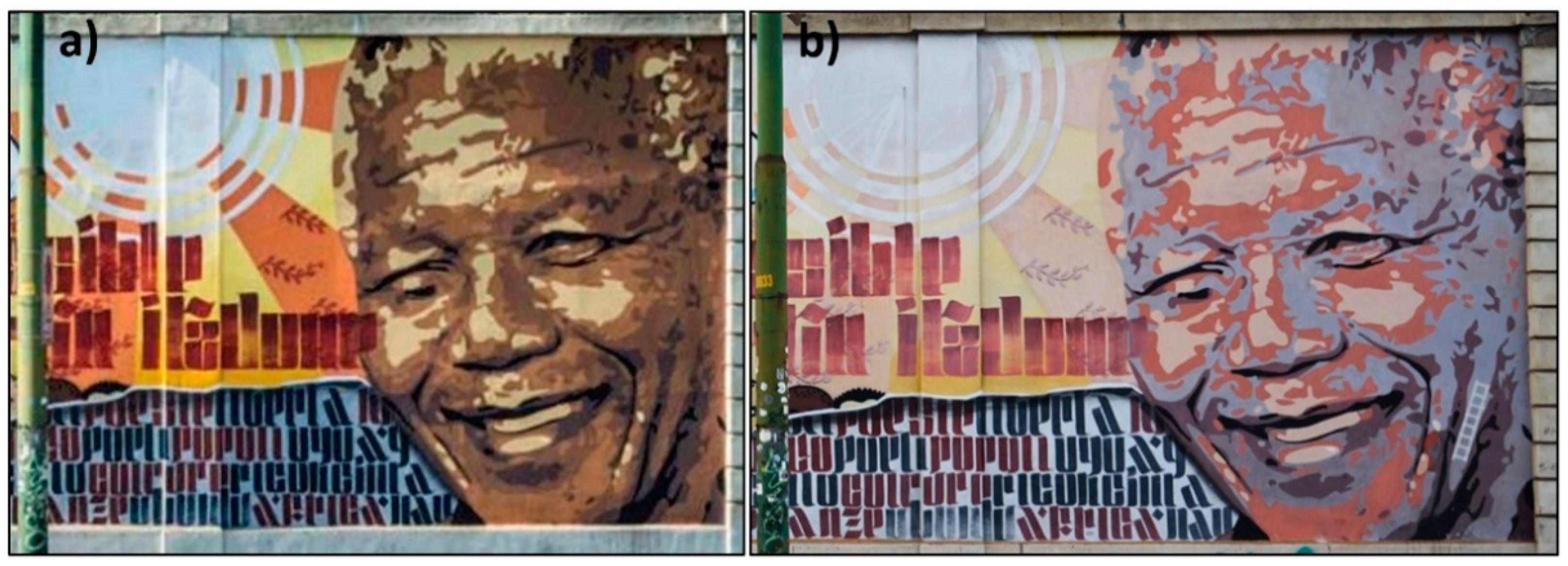 Coatings 13 02044 g006