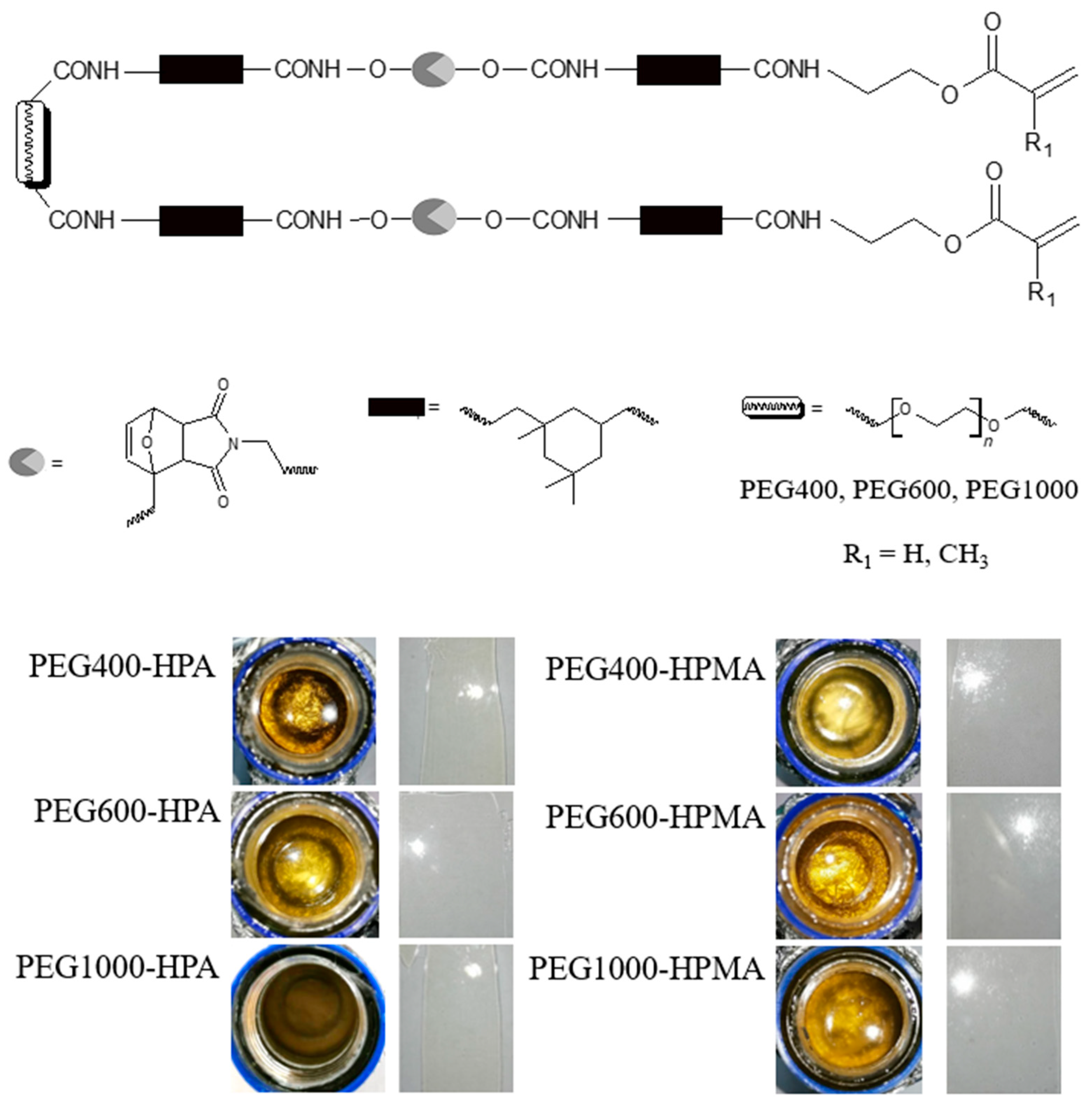 Coatings 13 02045 g001