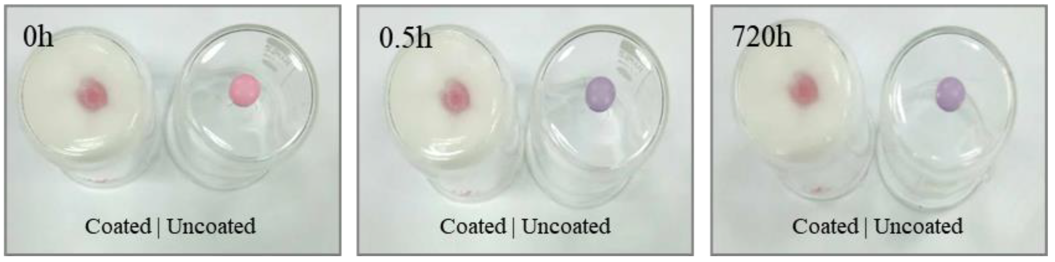 Coatings 13 02047 g002