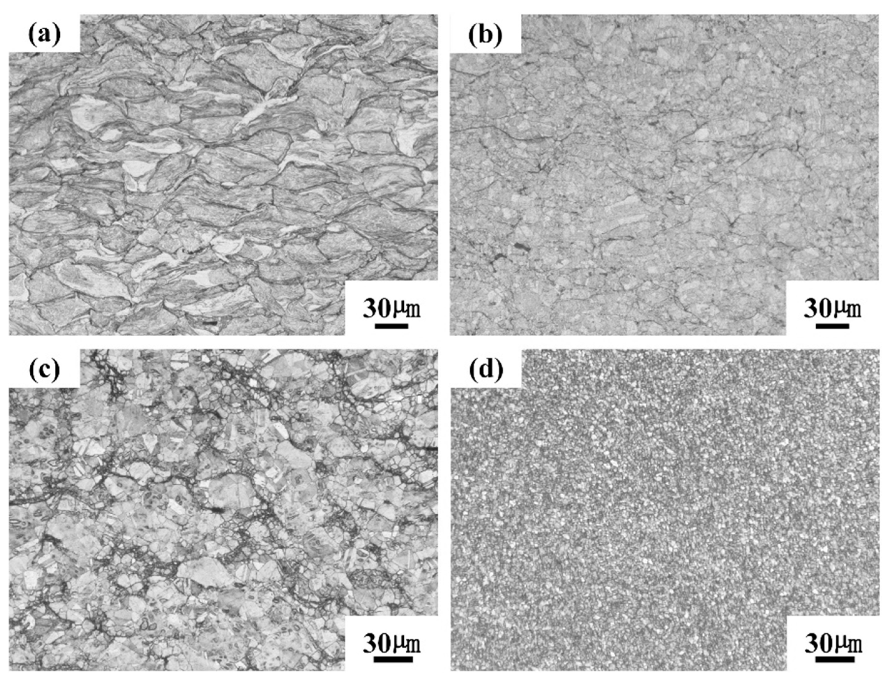 Coatings 13 02059 g005