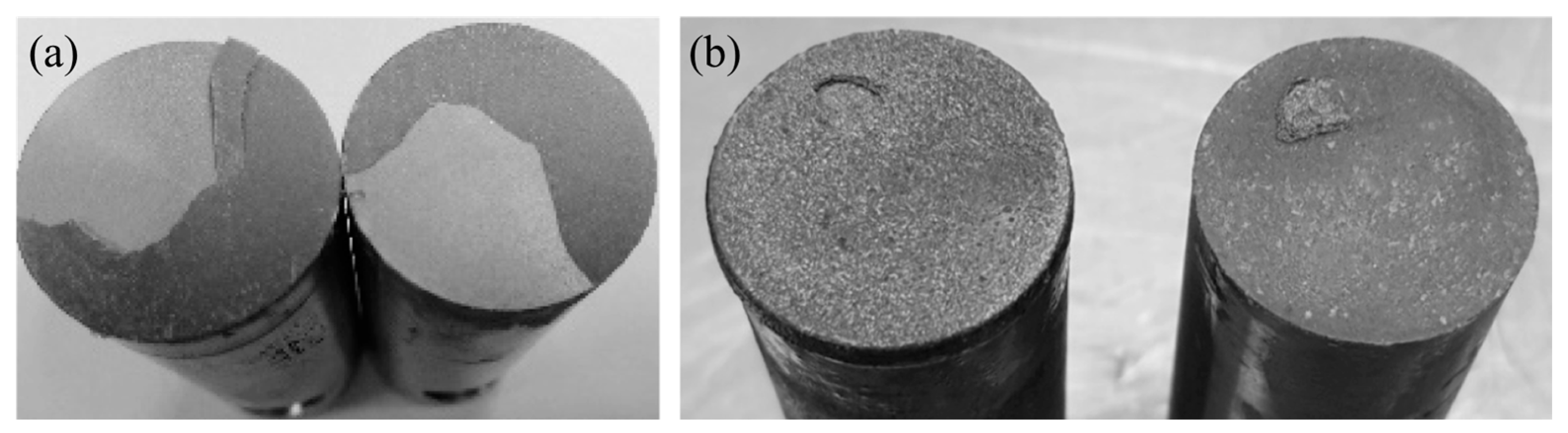 Coatings 13 02059 g012