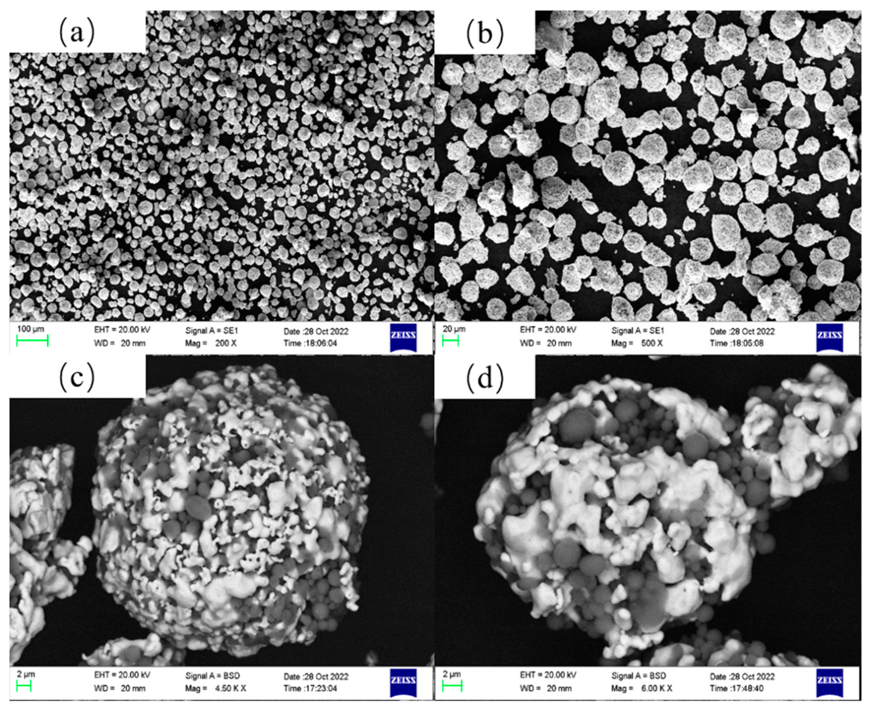 Coatings 13 02063 g001 Coatings 13 02063 g001