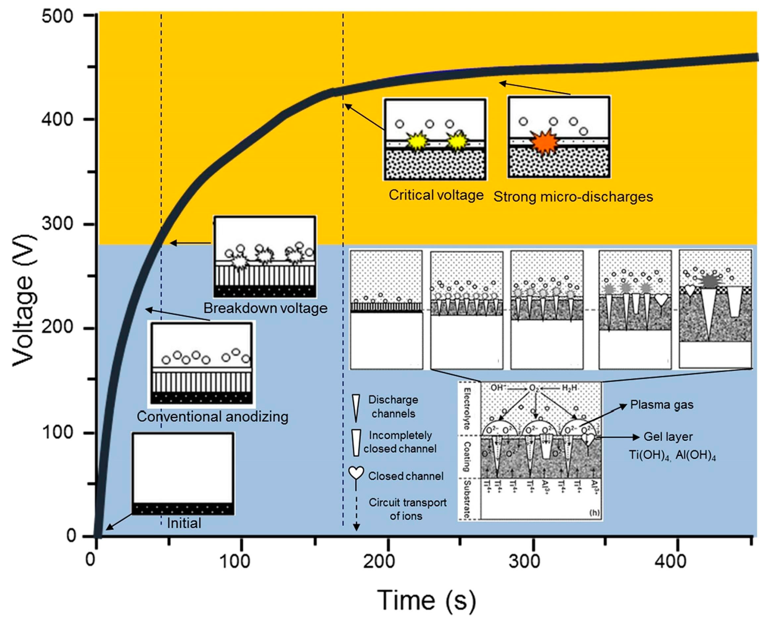 Coatings 13 02064 g001