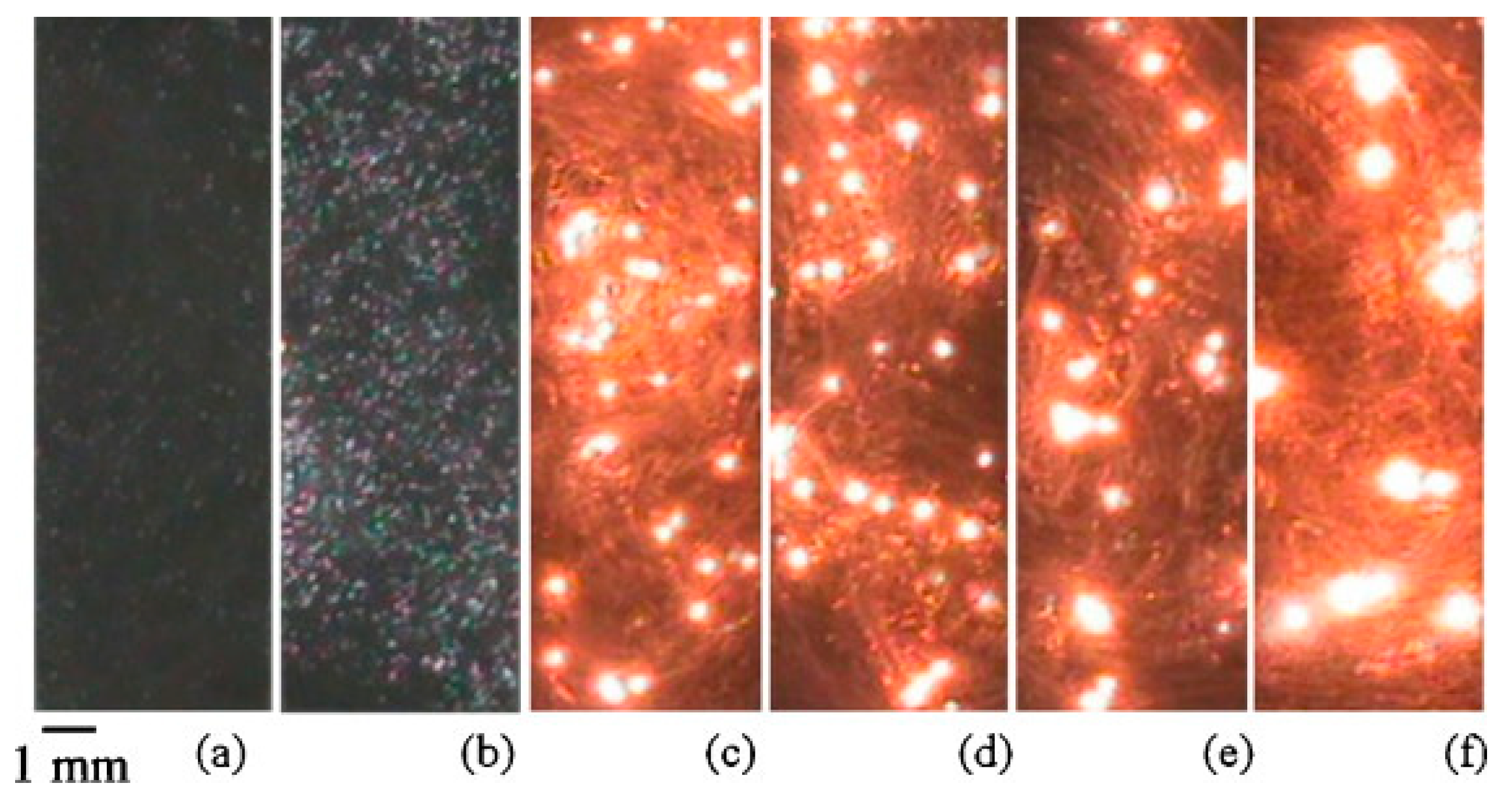 Coatings 13 02064 g002