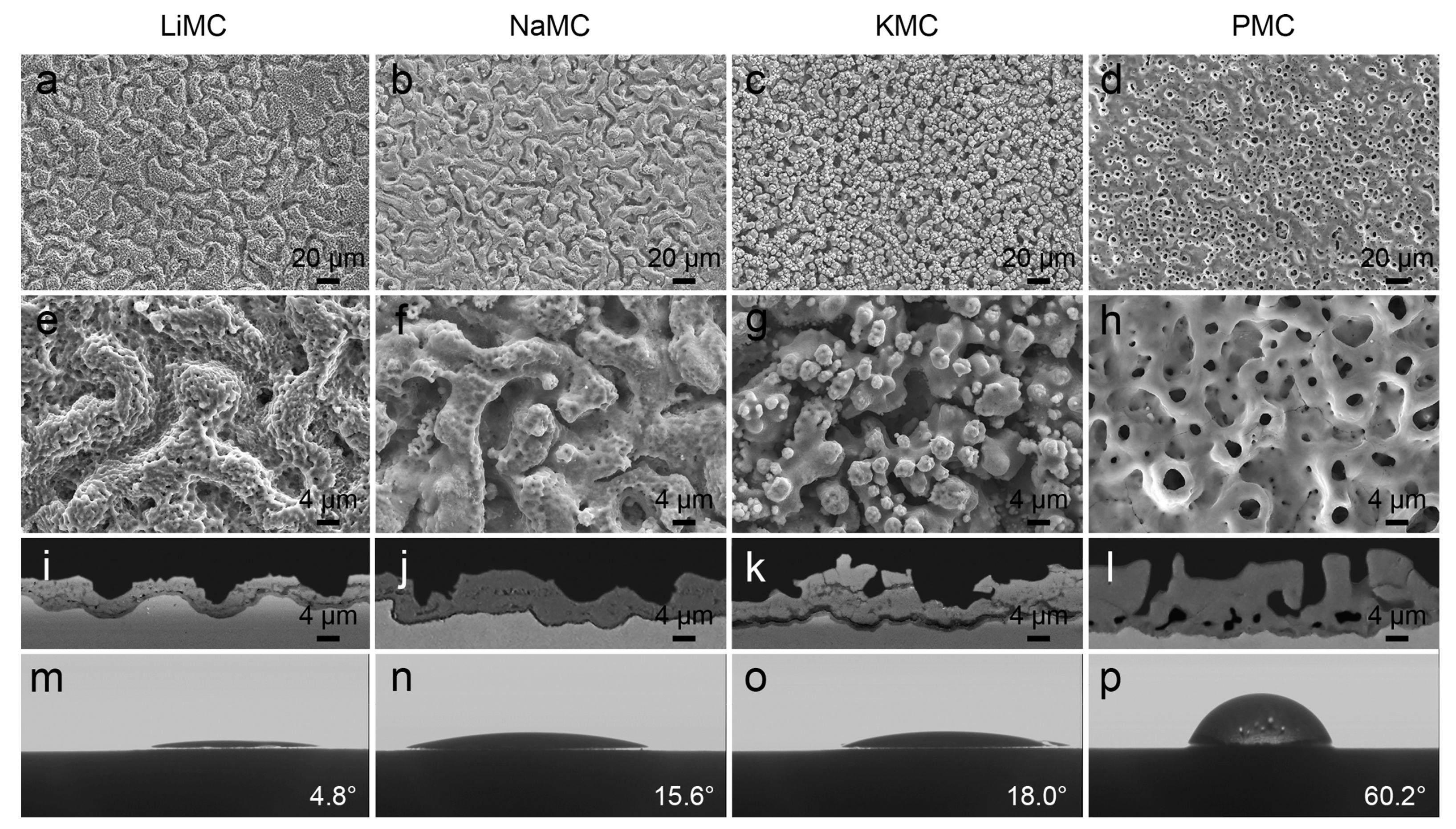 Coatings 13 02064 g003
