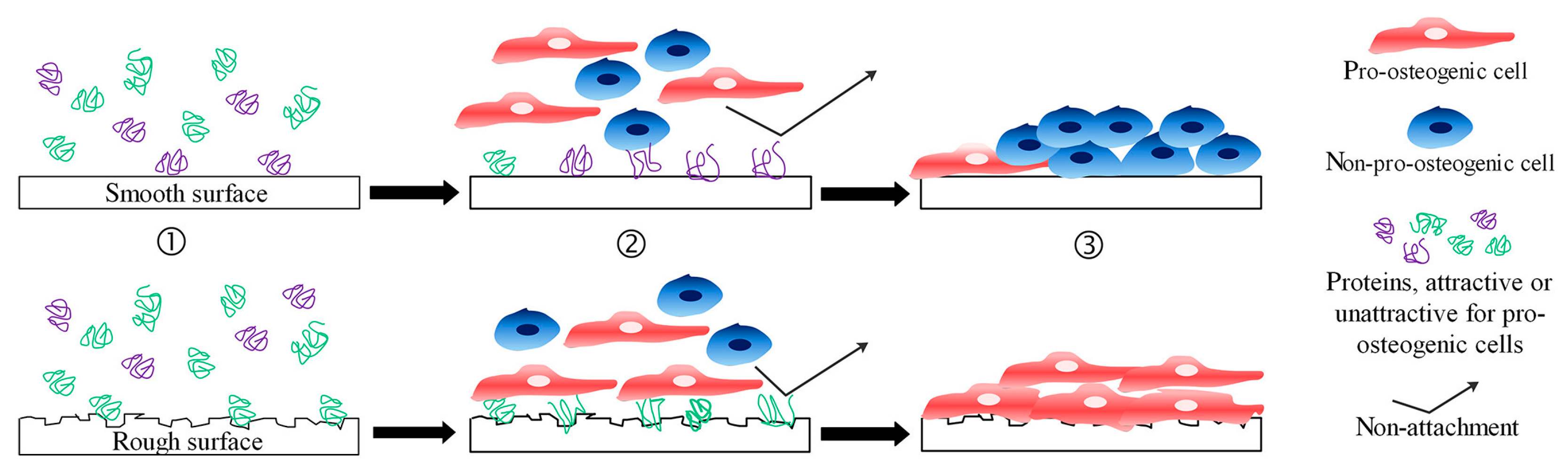 Coatings 13 02064 g005